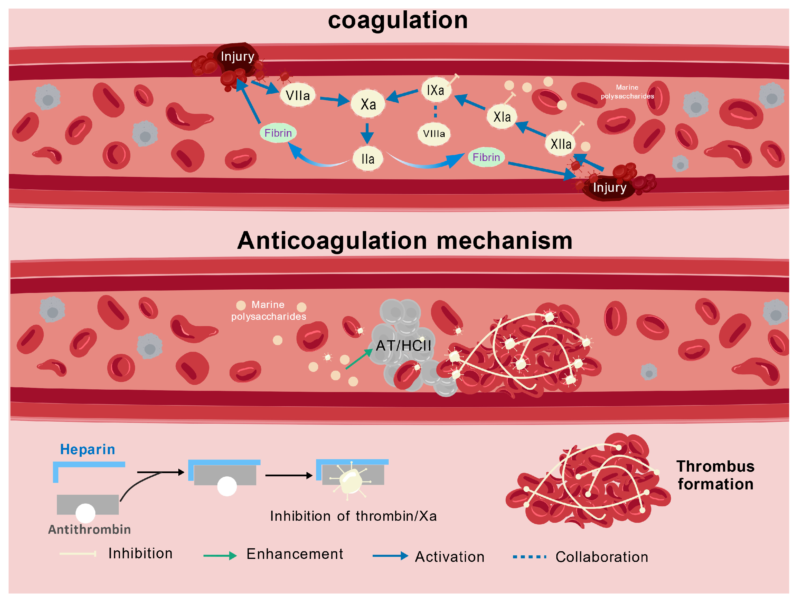 Polymers 17 02553 g004 Polymers 17 02553 g004