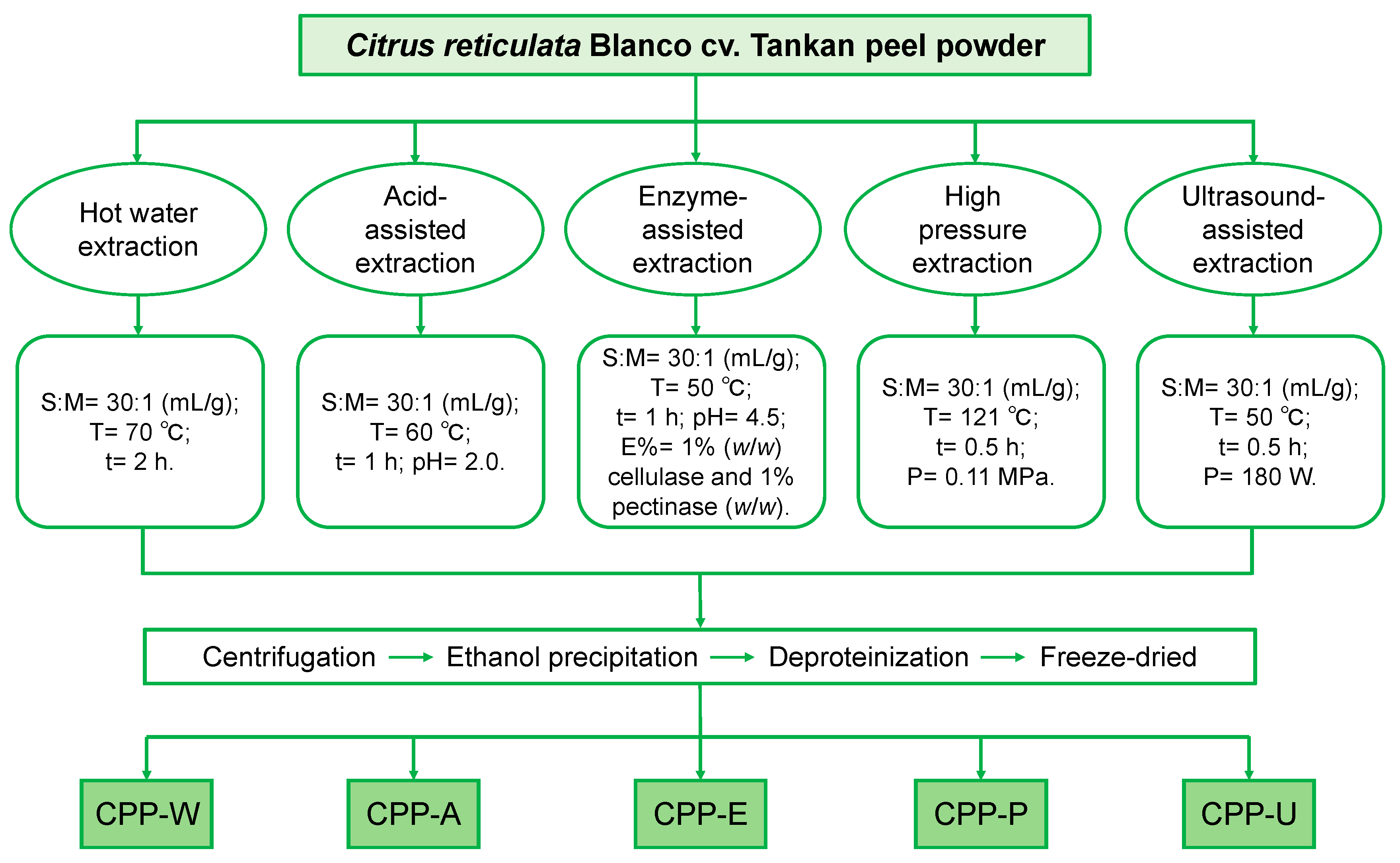 Polymers 17 02554 g001