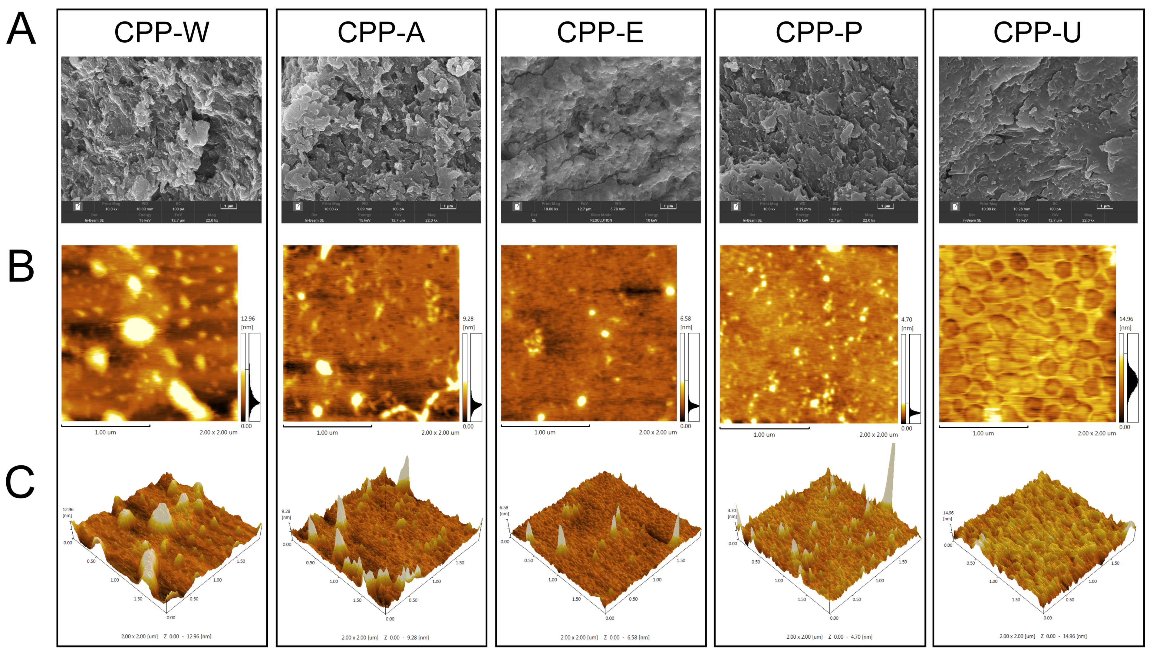 Polymers 17 02554 g002