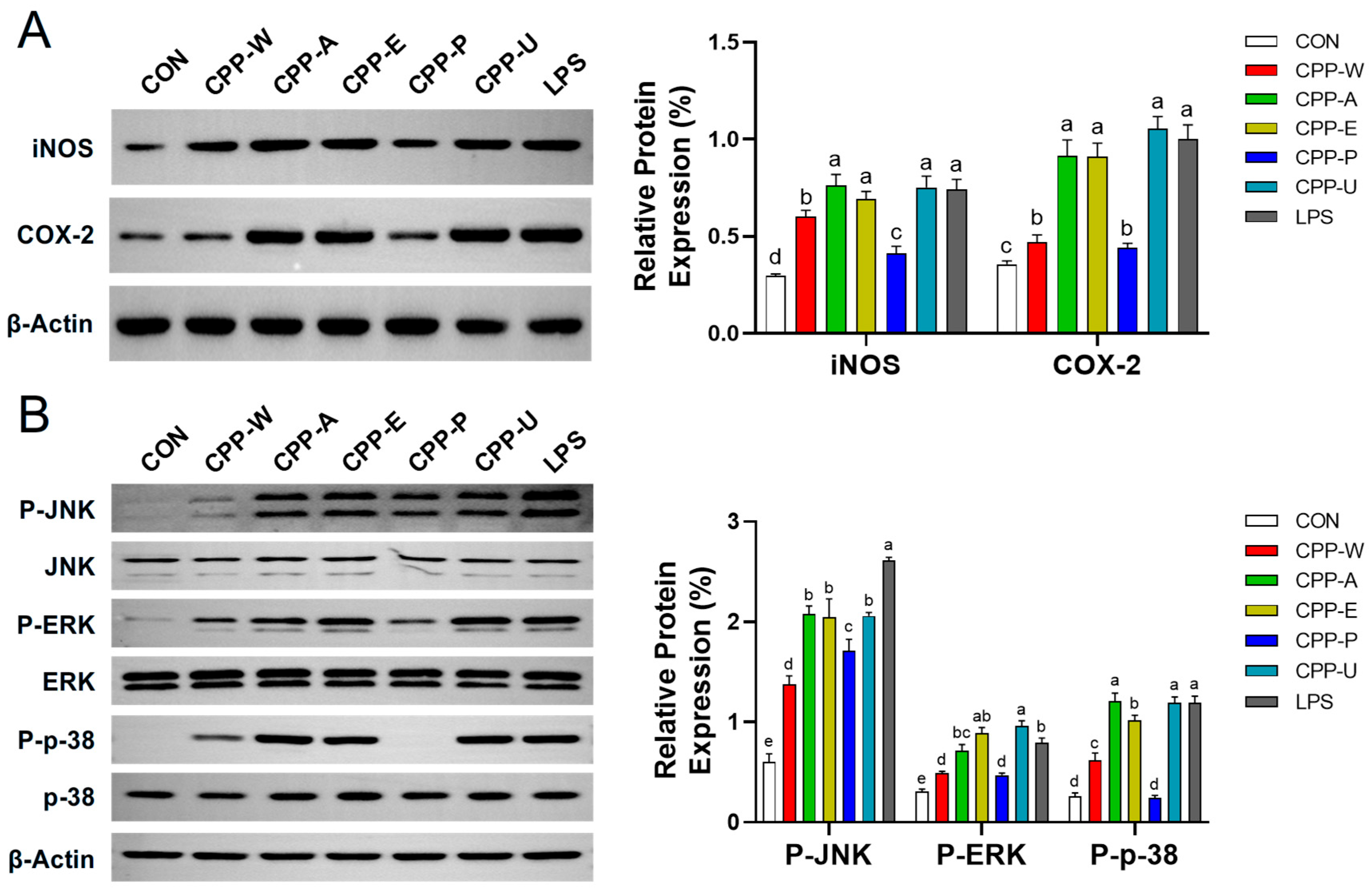 Polymers 17 02554 g007