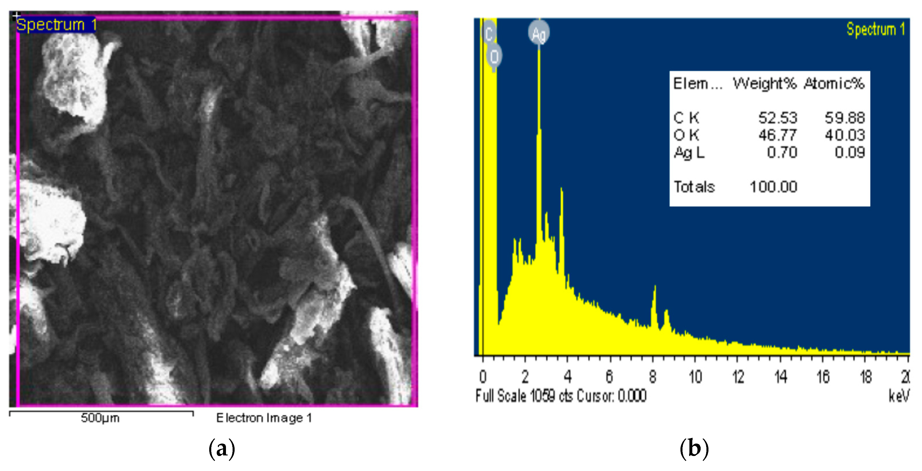Polymers 17 02555 g005