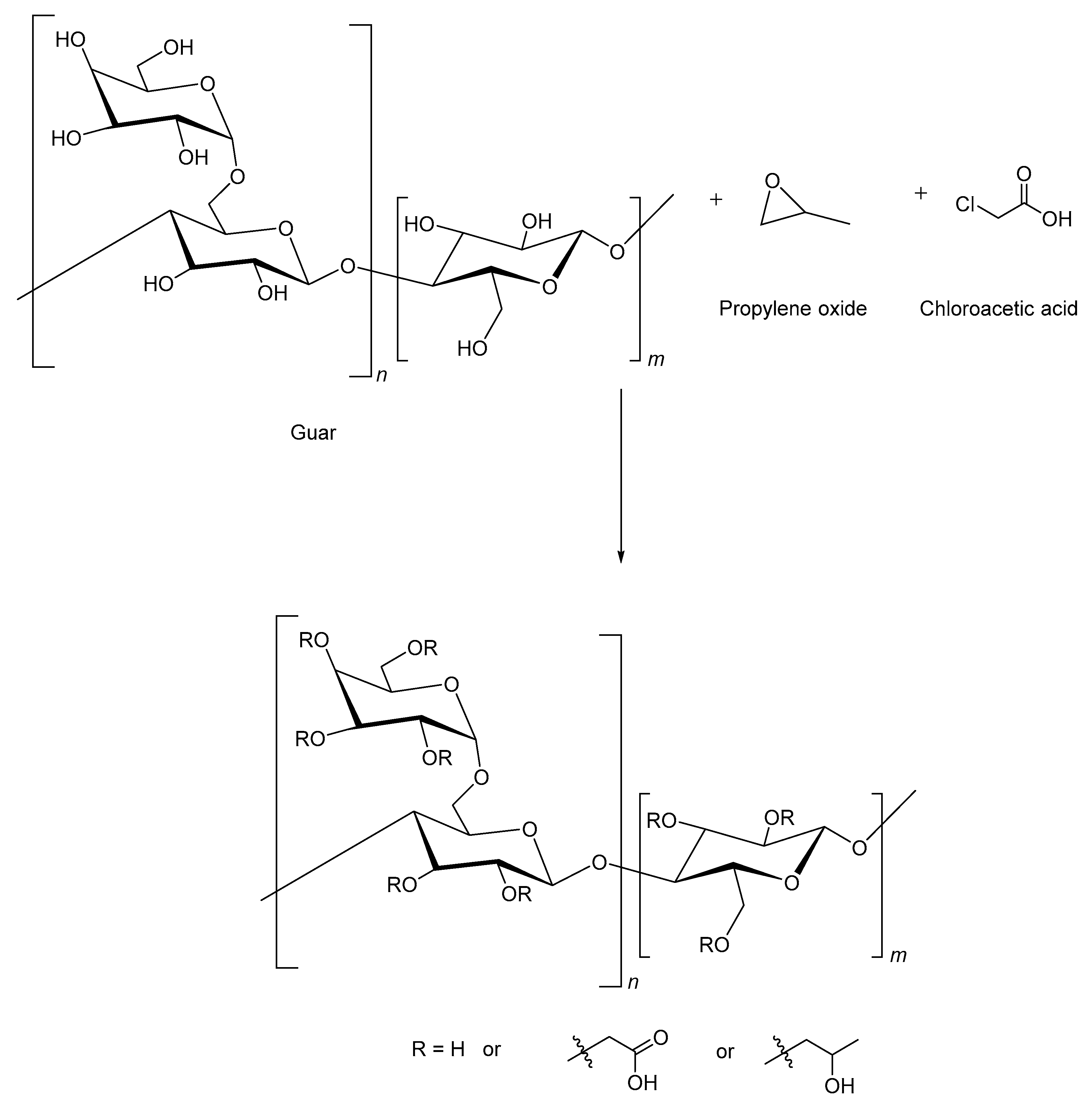 Polymers 17 02562 g003 Polymers 17 02562 g003