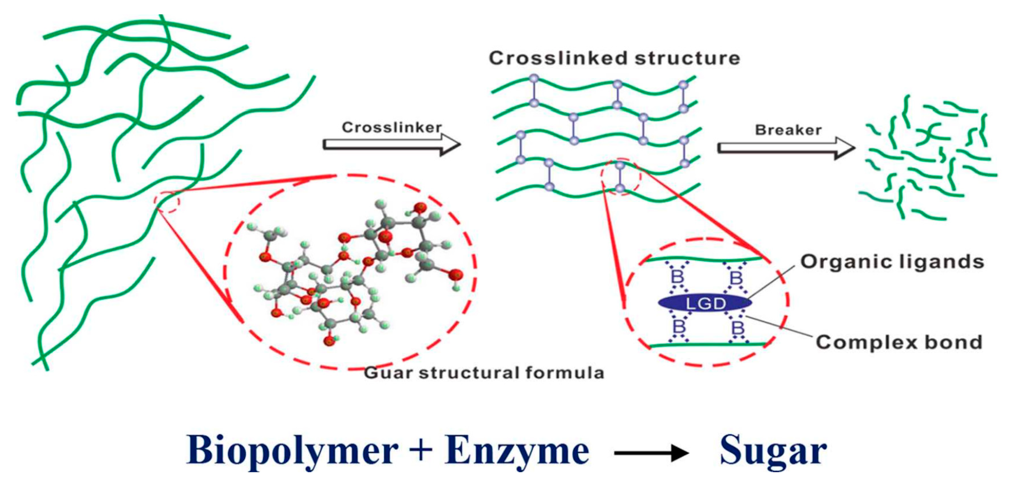 Polymers 17 02562 g010 Polymers 17 02562 g010