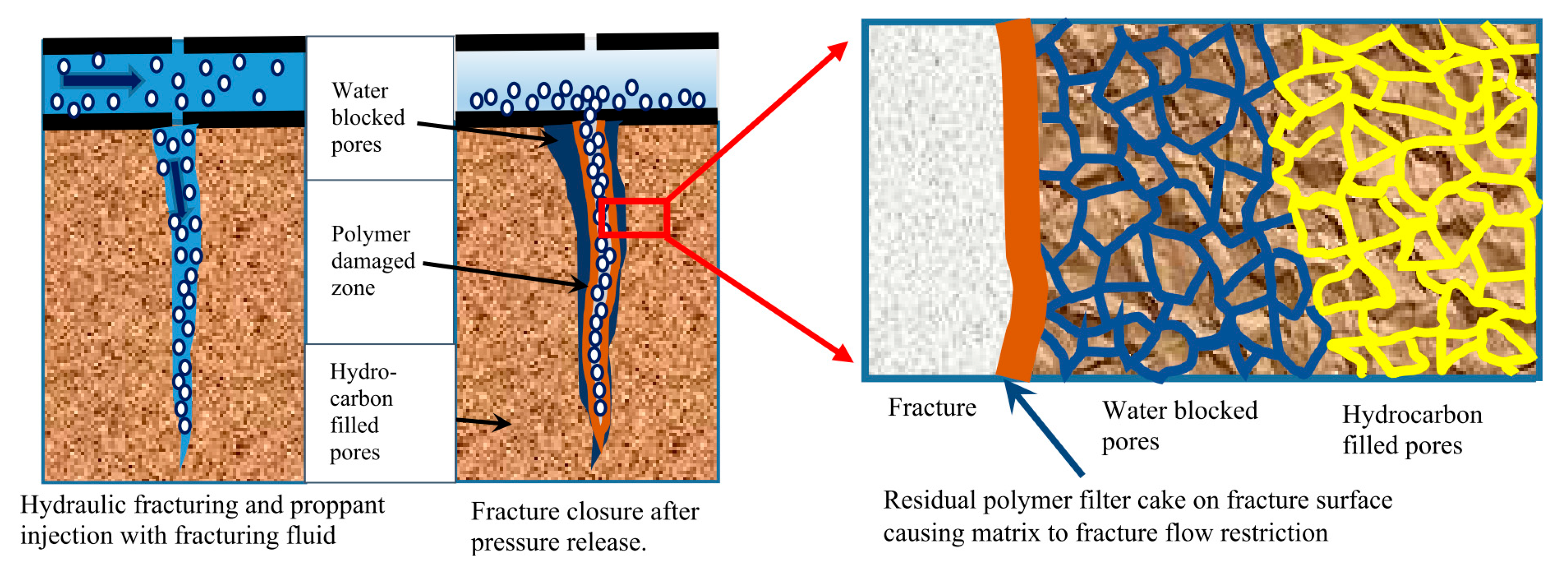 Polymers 17 02562 g011 Polymers 17 02562 g011