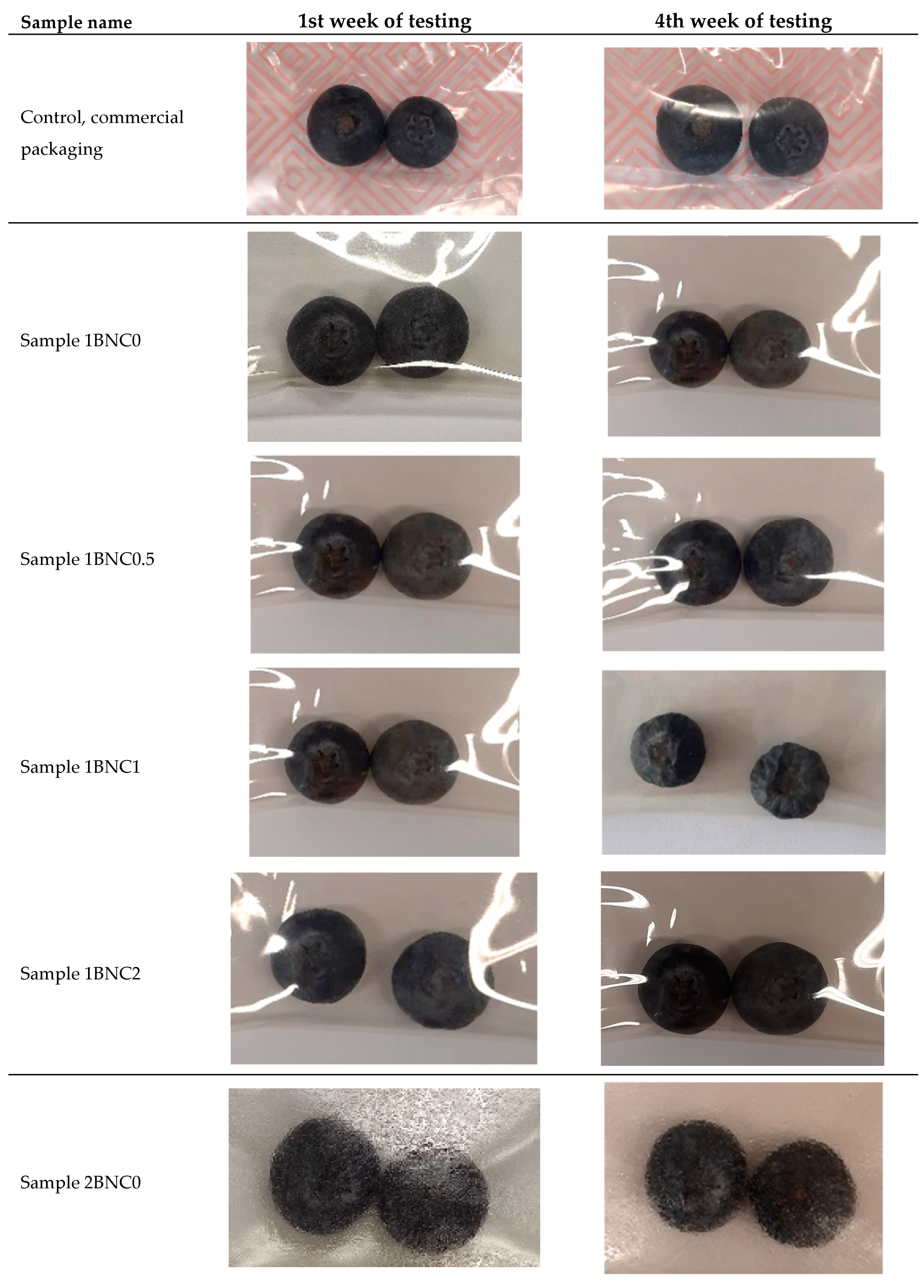 Polymers 17 02564 g002a
