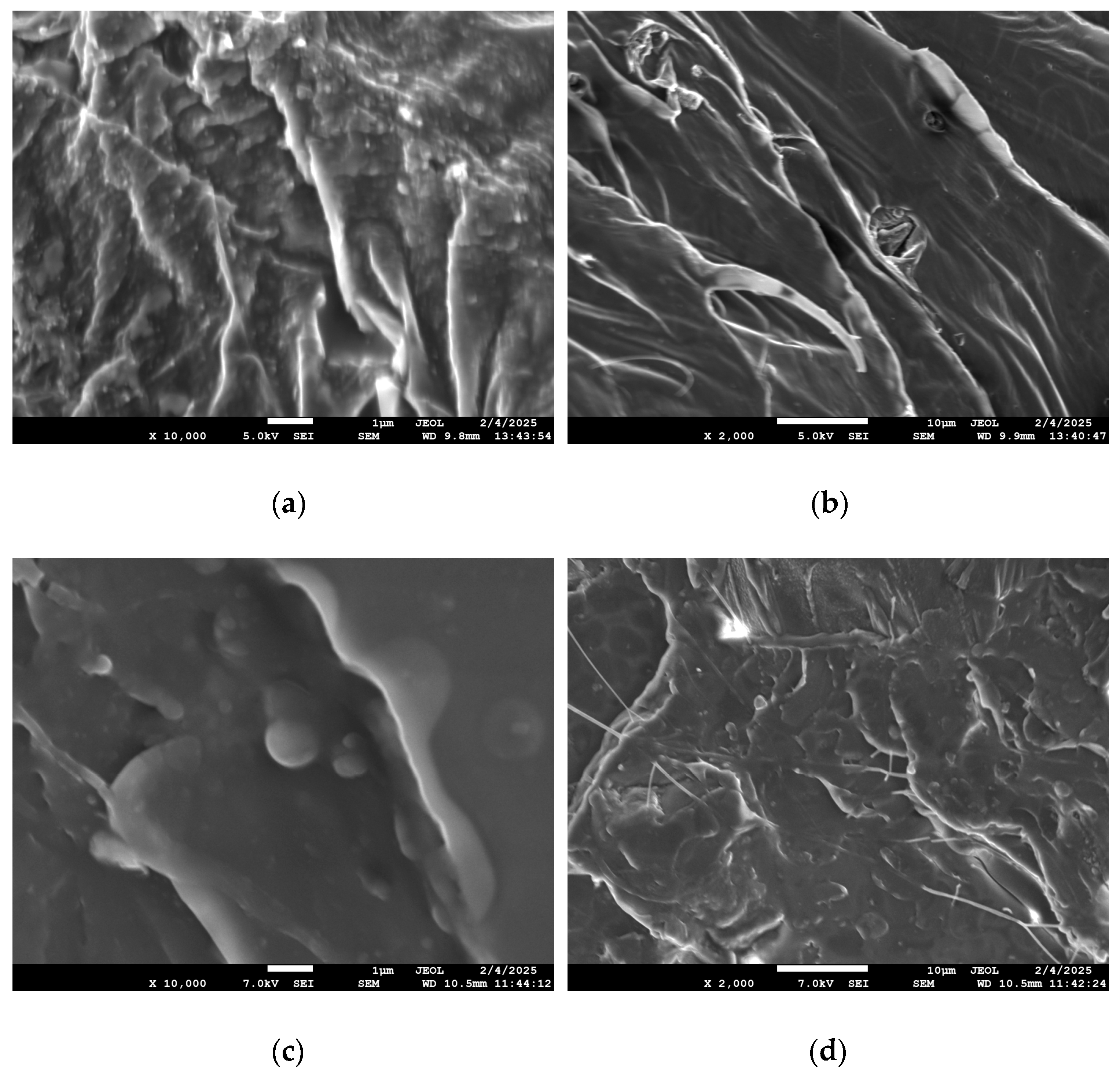Polymers 17 02565 g004 Polymers 17 02565 g004