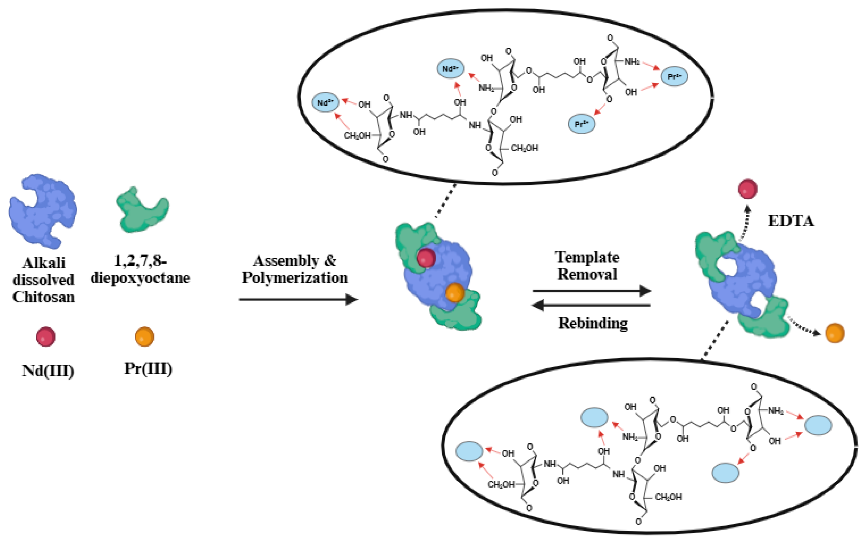 Polymers 17 02567 g001