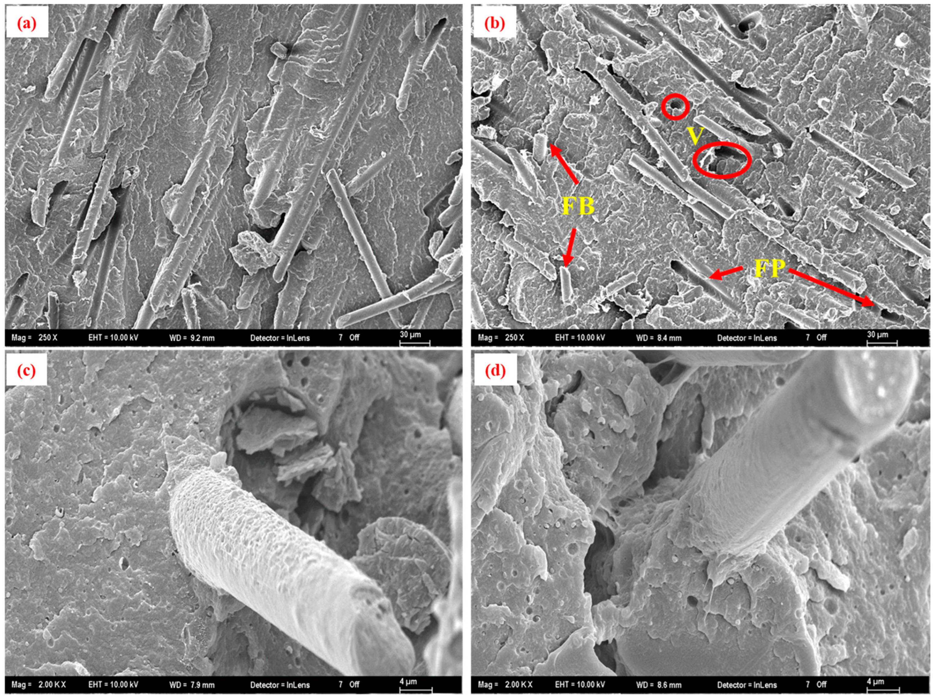 Polymers 17 02569 g011