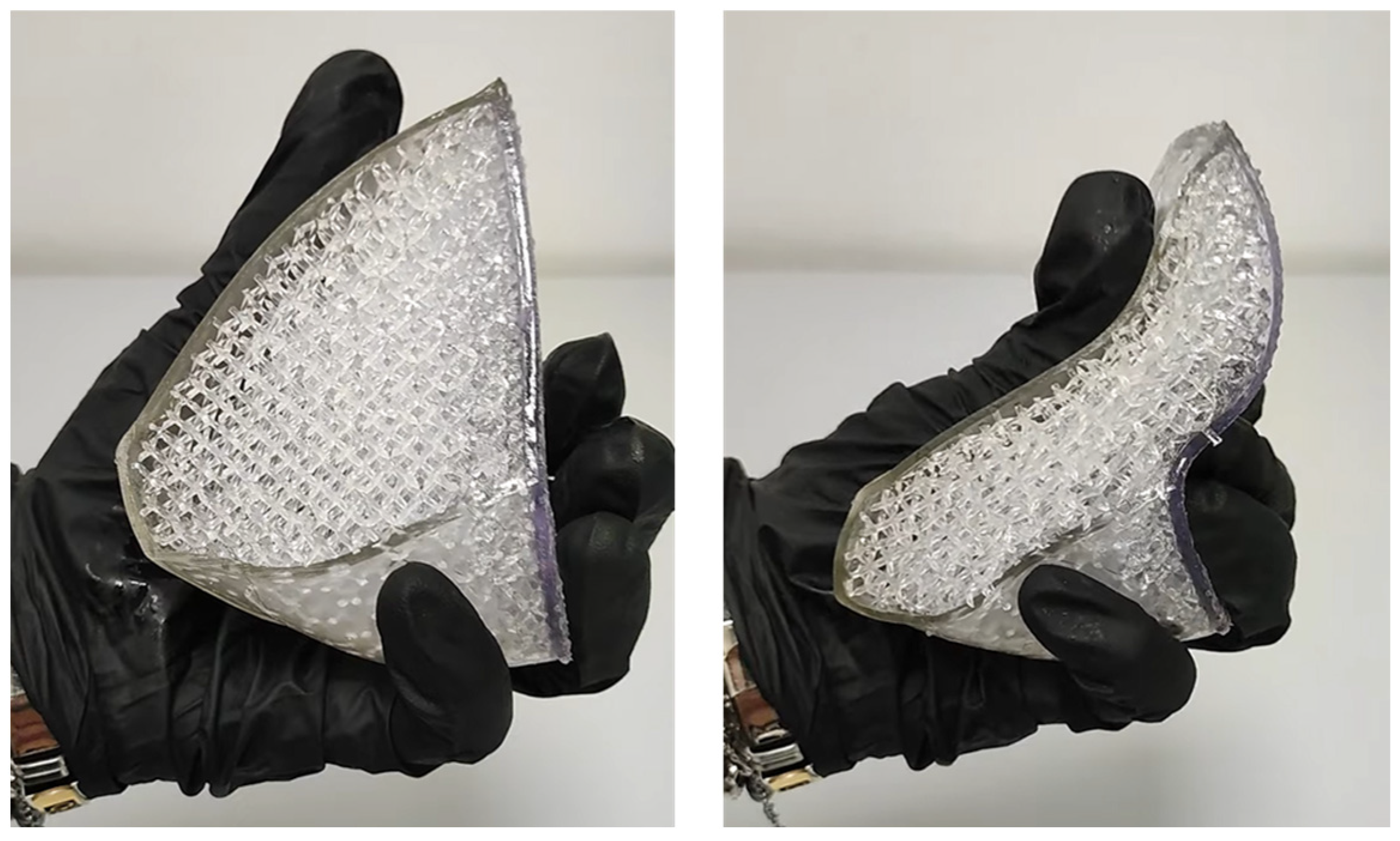 Polymers 17 02572 g013