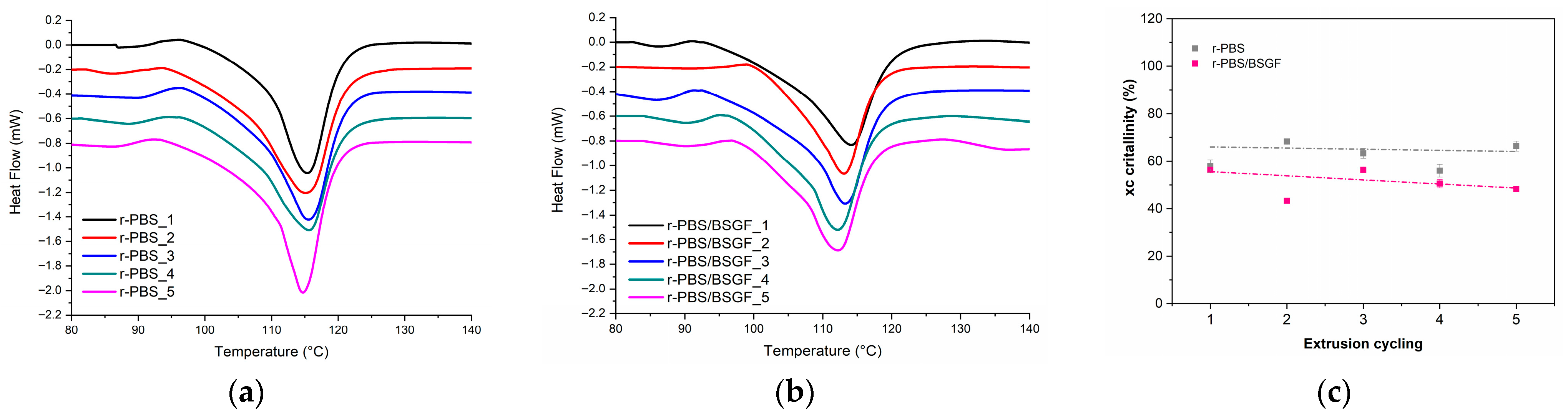 Polymers 17 02577 g008