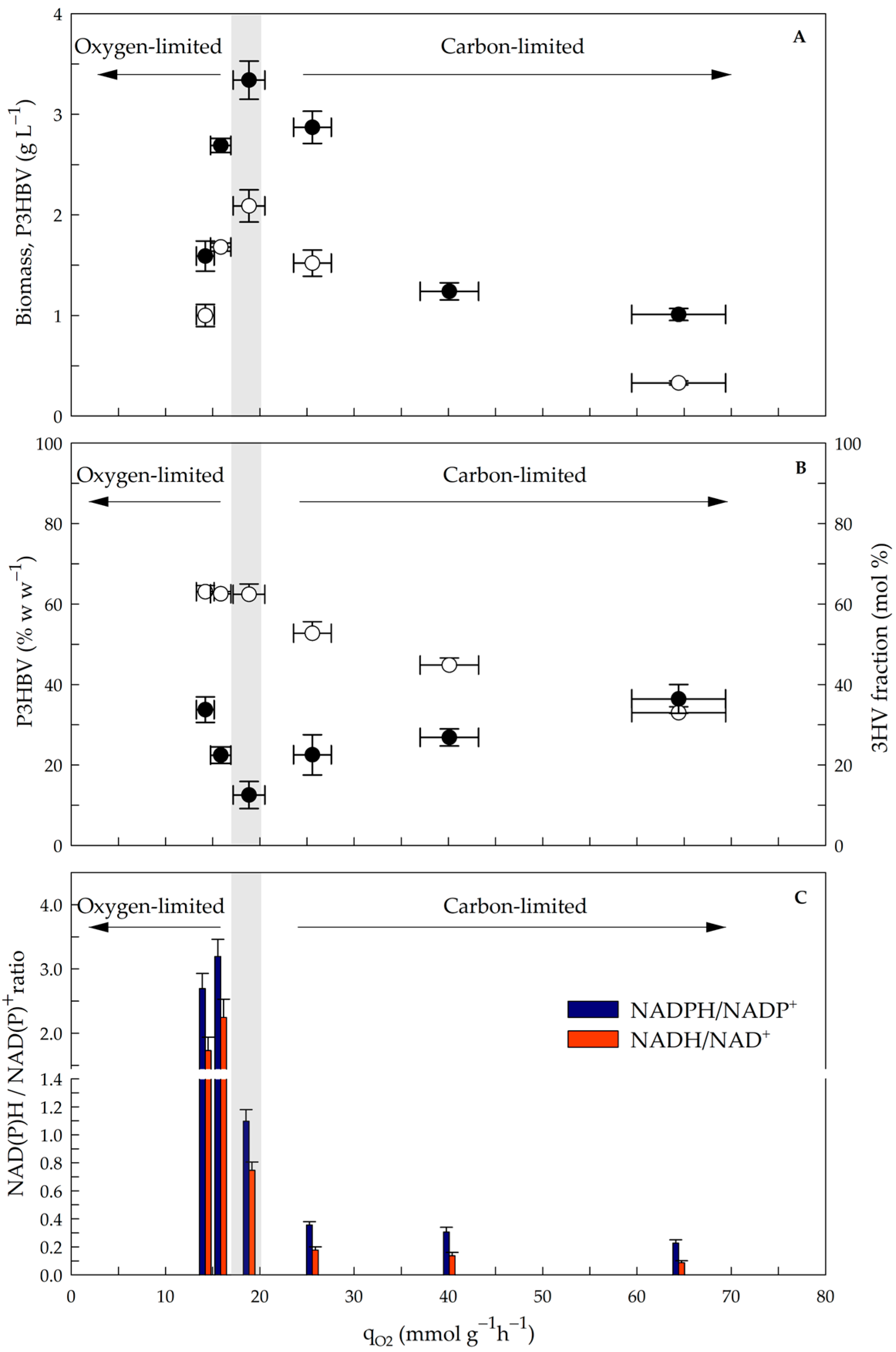 Polymers 17 02578 g004 Polymers 17 02578 g004