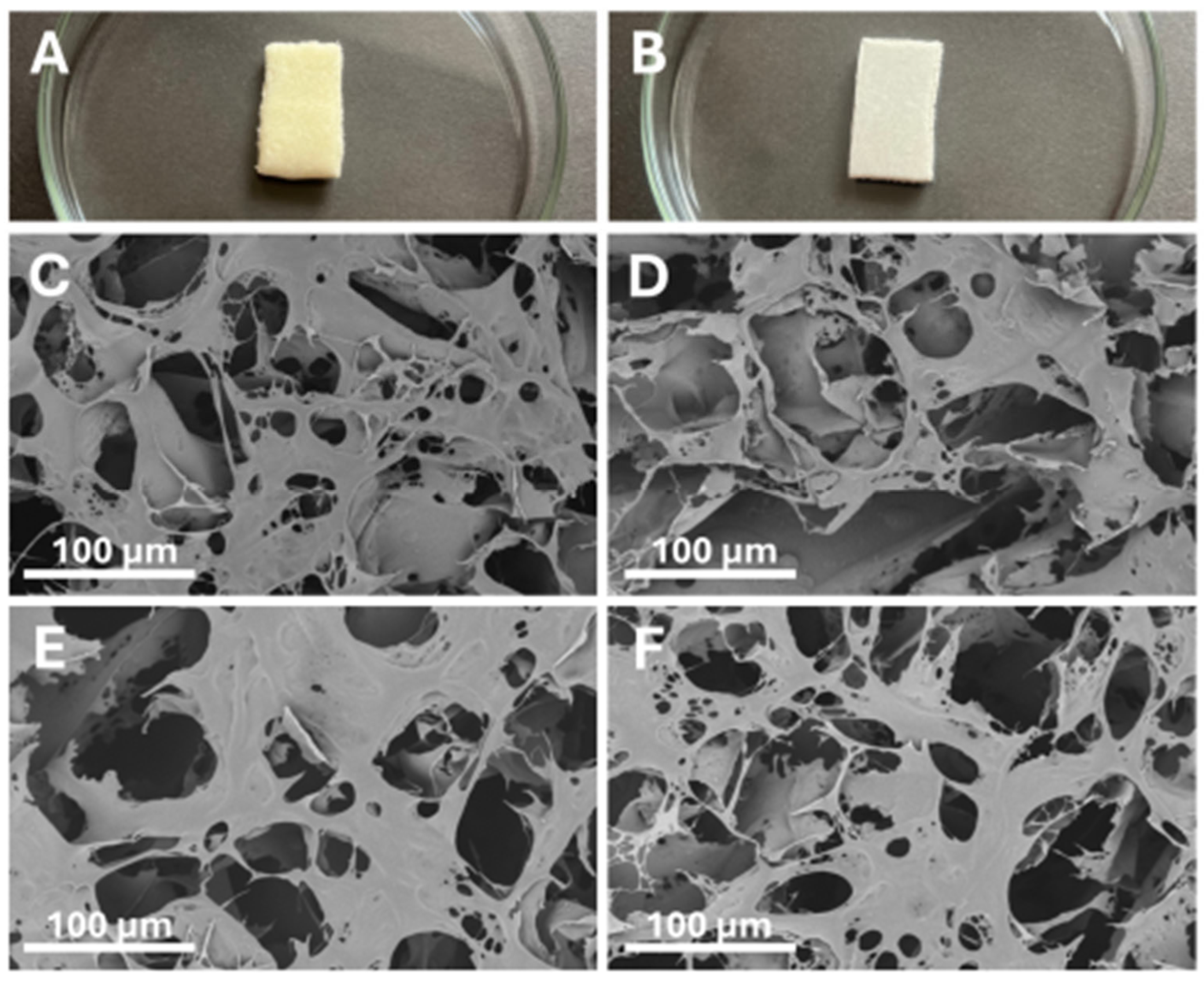 Polymers 17 02583 g002 Polymers 17 02583 g002