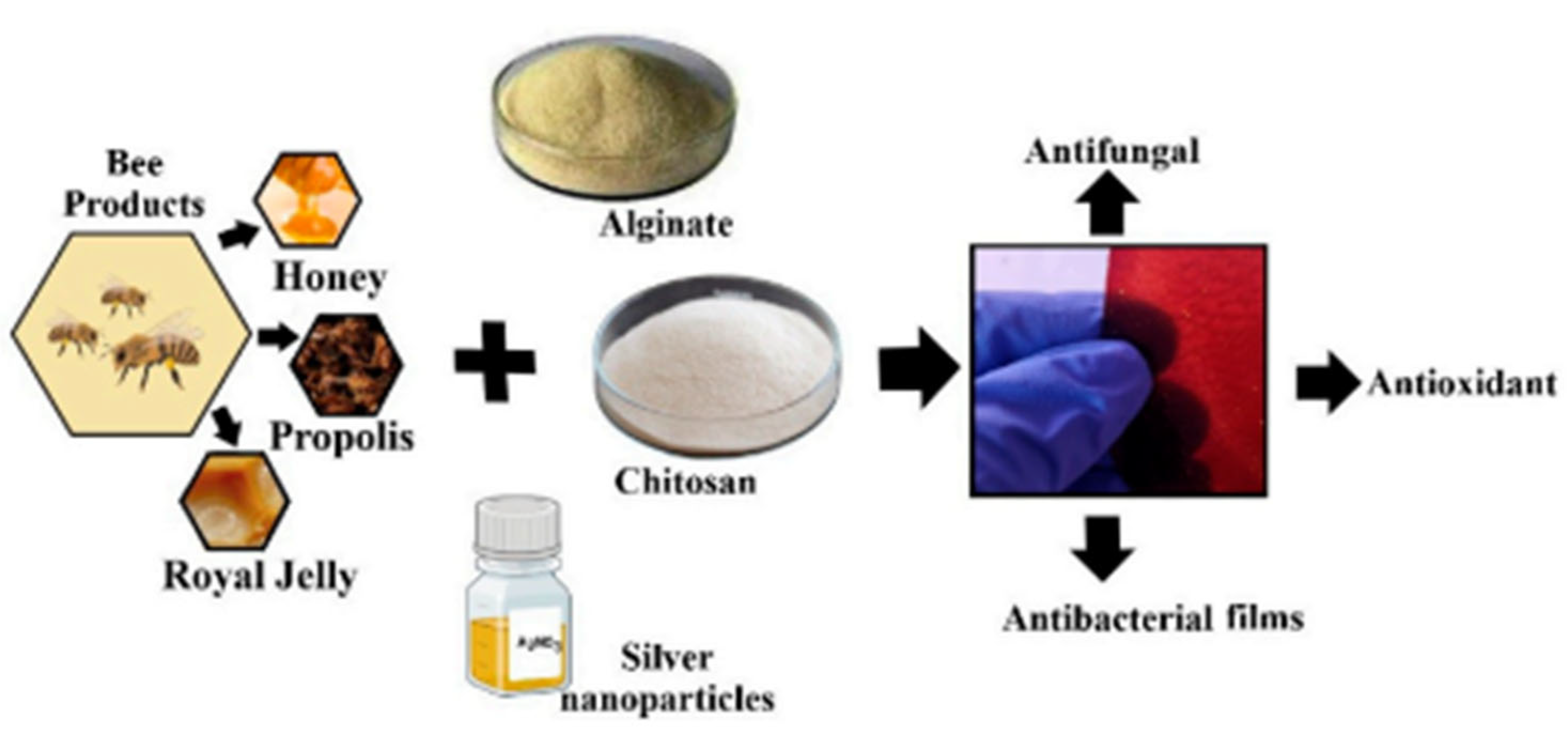 Polymers 17 02583 g005 Polymers 17 02583 g005