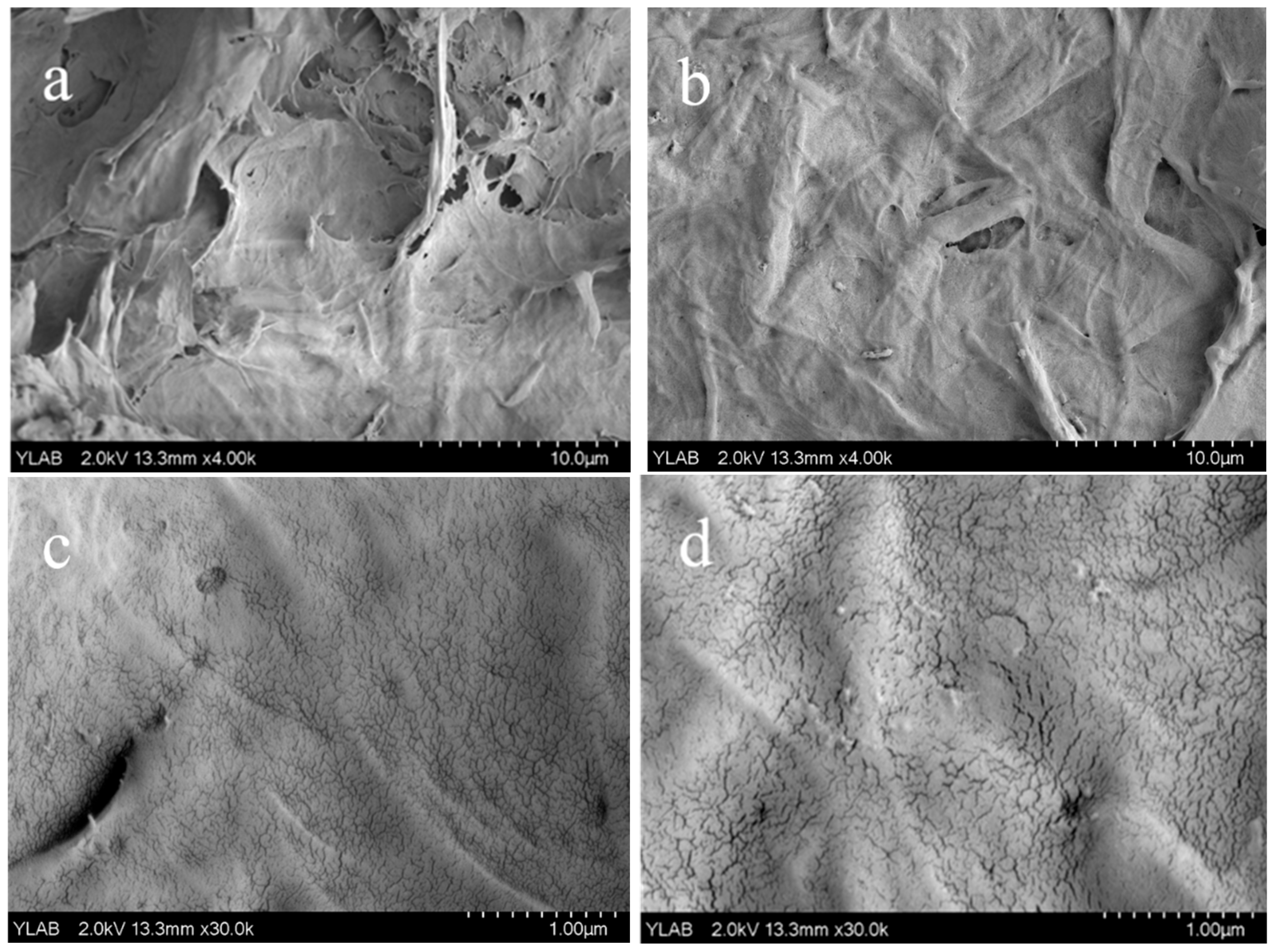 Polymers 17 02586 g005 Polymers 17 02586 g005