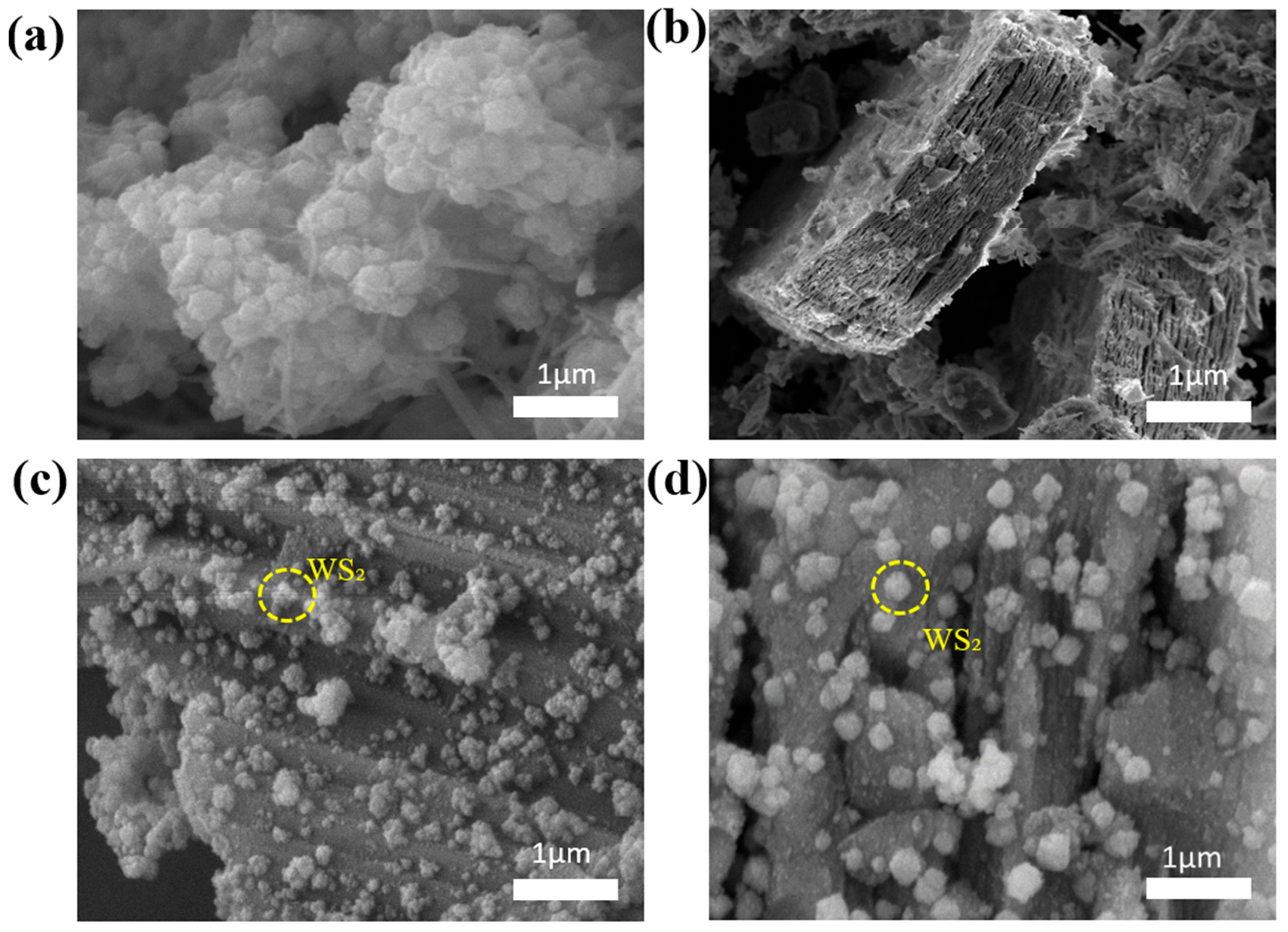 Polymers 17 02588 g003 Polymers 17 02588 g003