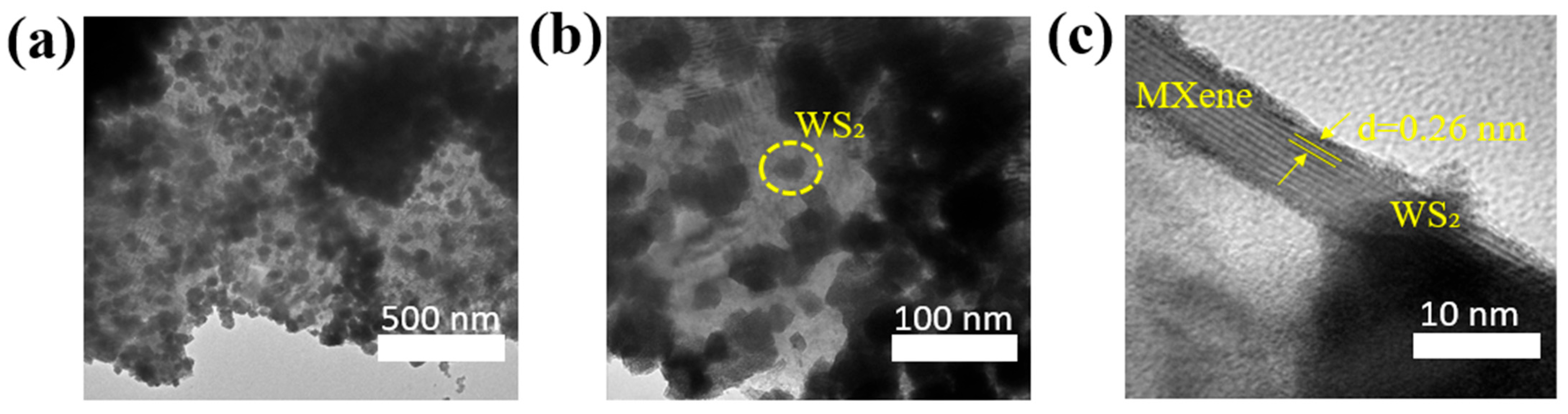 Polymers 17 02588 g004 Polymers 17 02588 g004