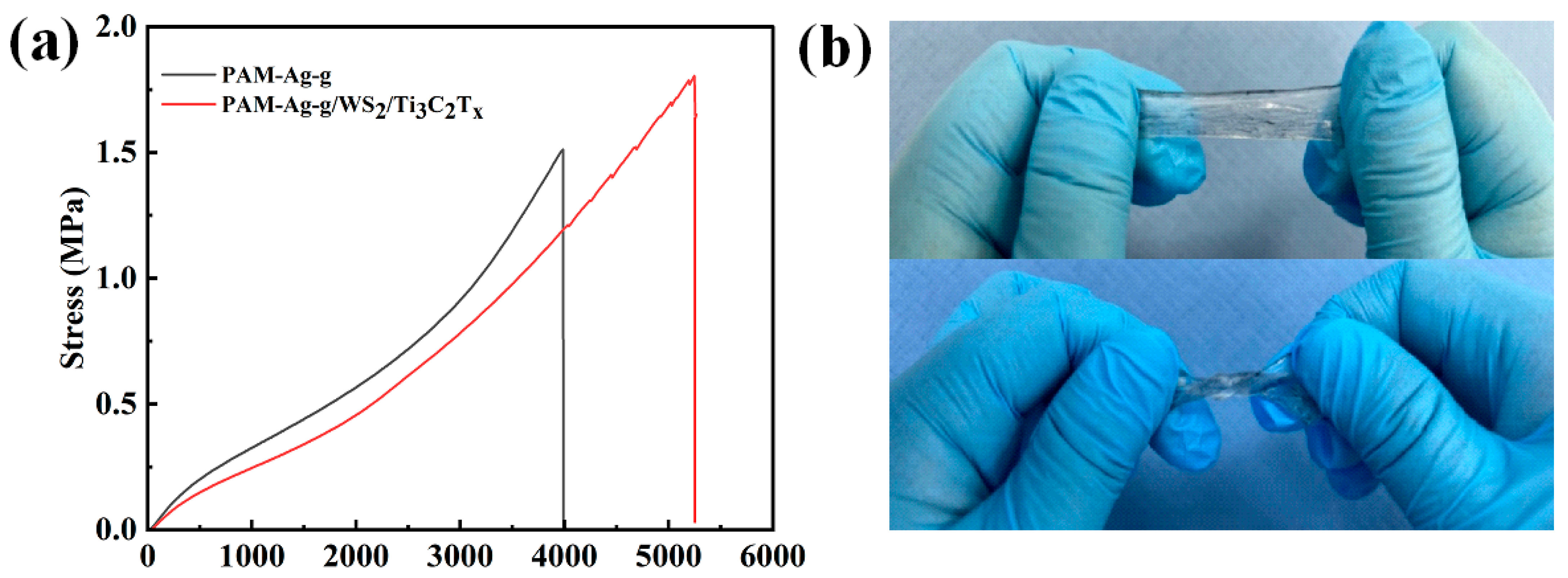 Polymers 17 02588 g005 Polymers 17 02588 g005