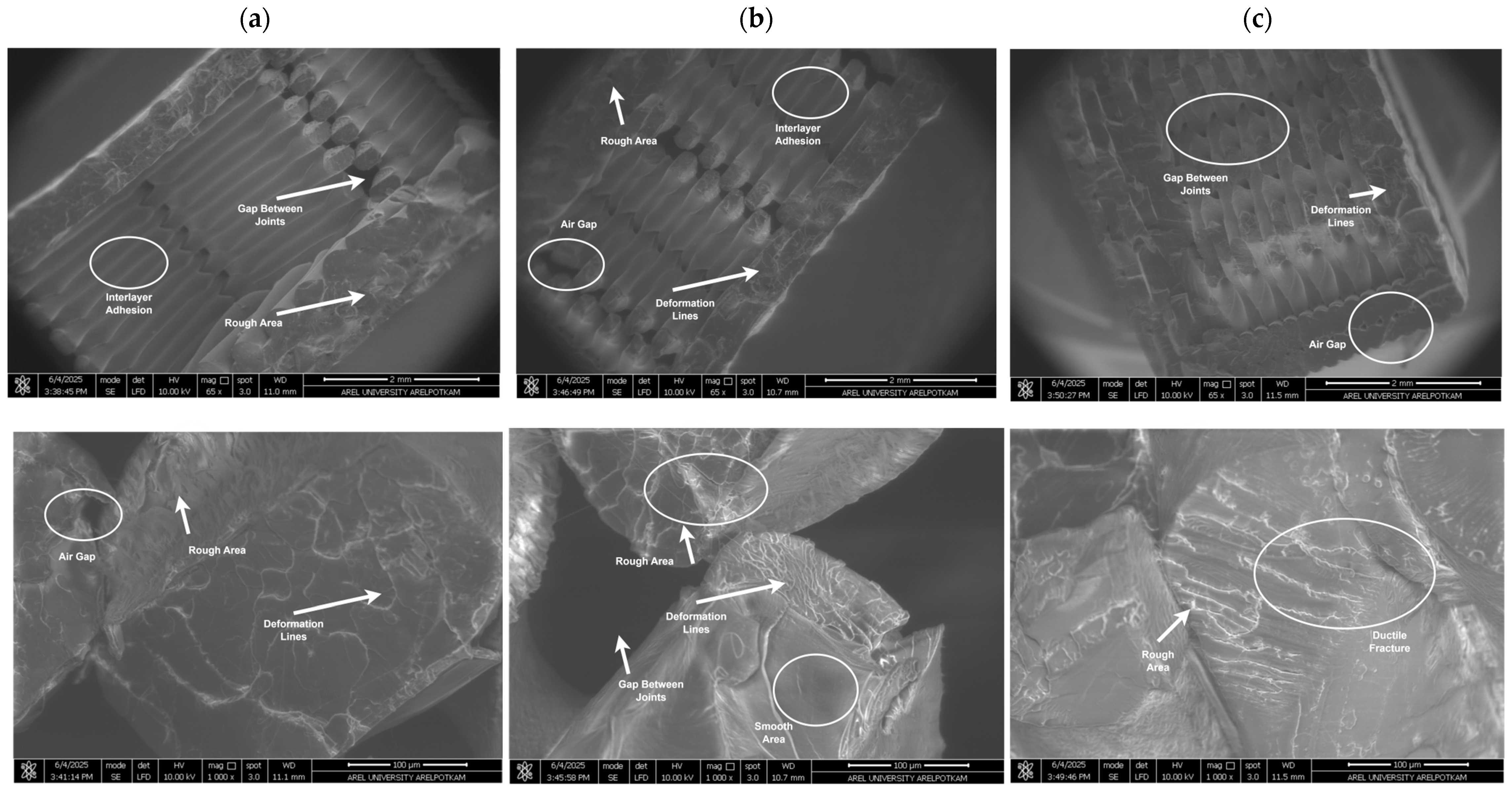 Polymers 17 02590 g009