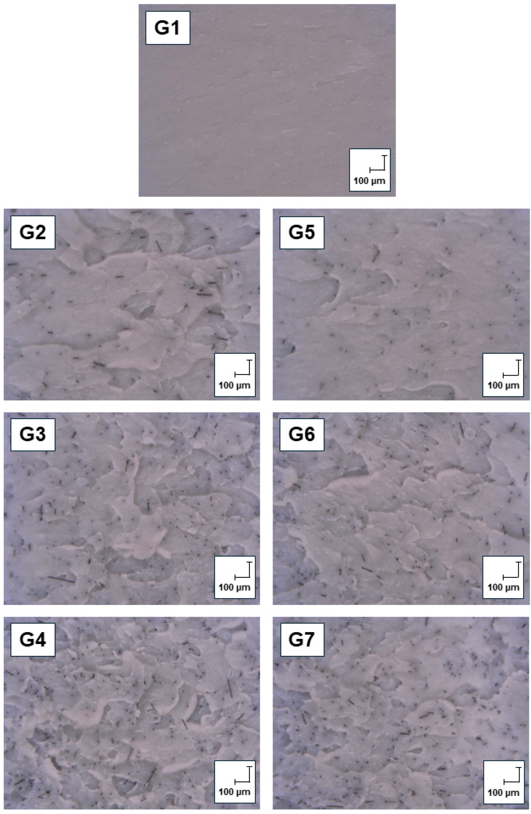 Polymers 17 02593 g016