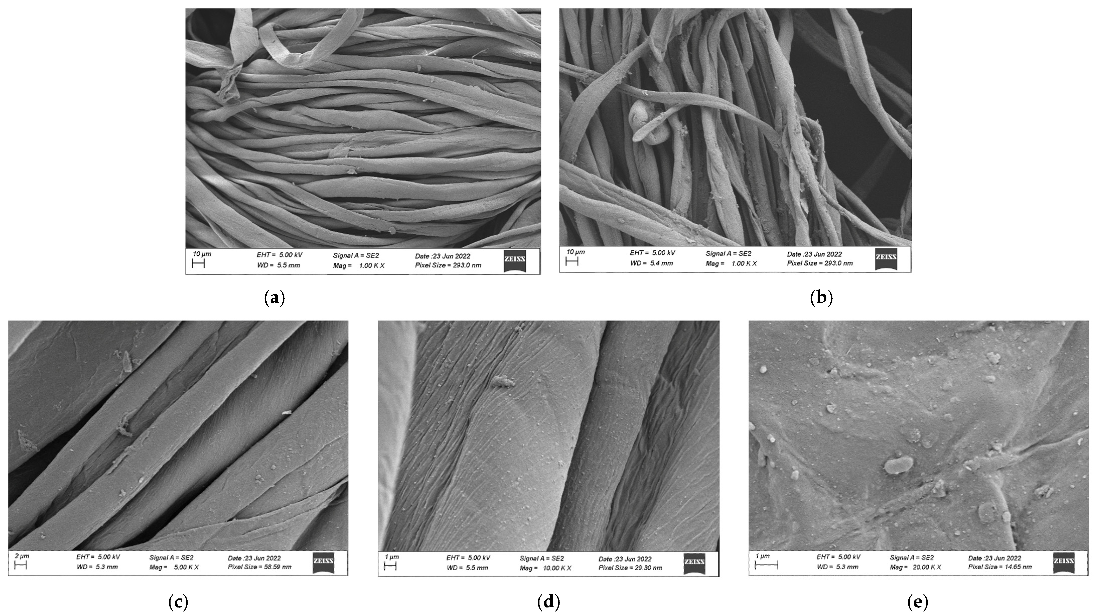 Polymers 17 02598 g009 Polymers 17 02598 g009