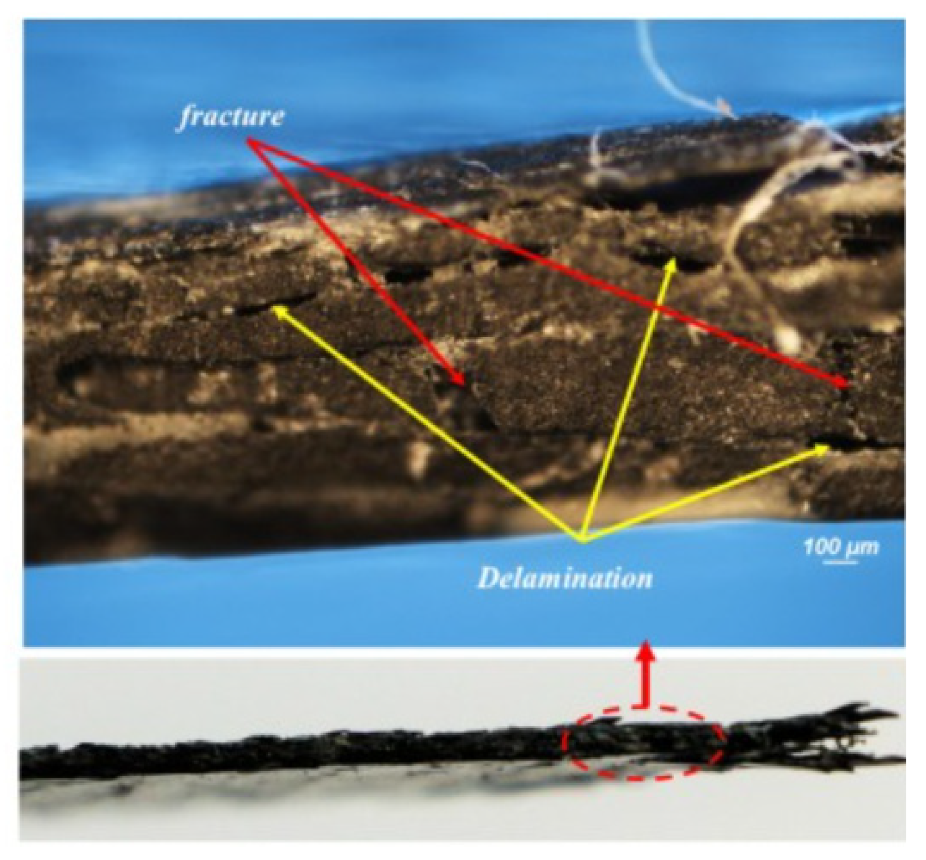 Polymers 17 02600 g007