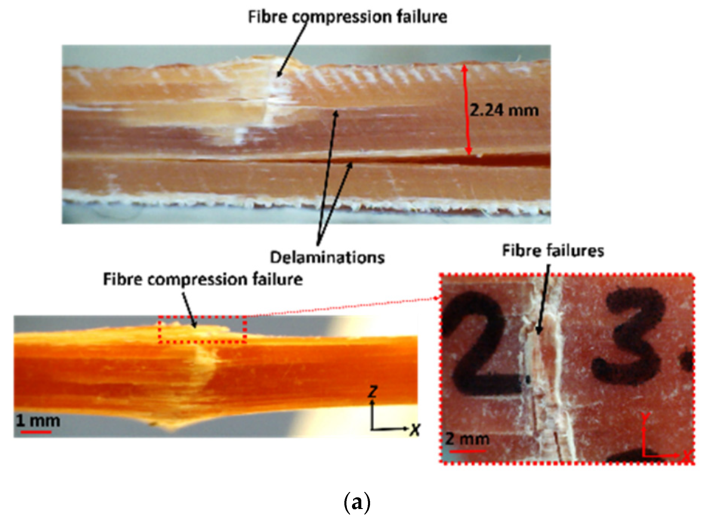 Polymers 17 02600 g008a