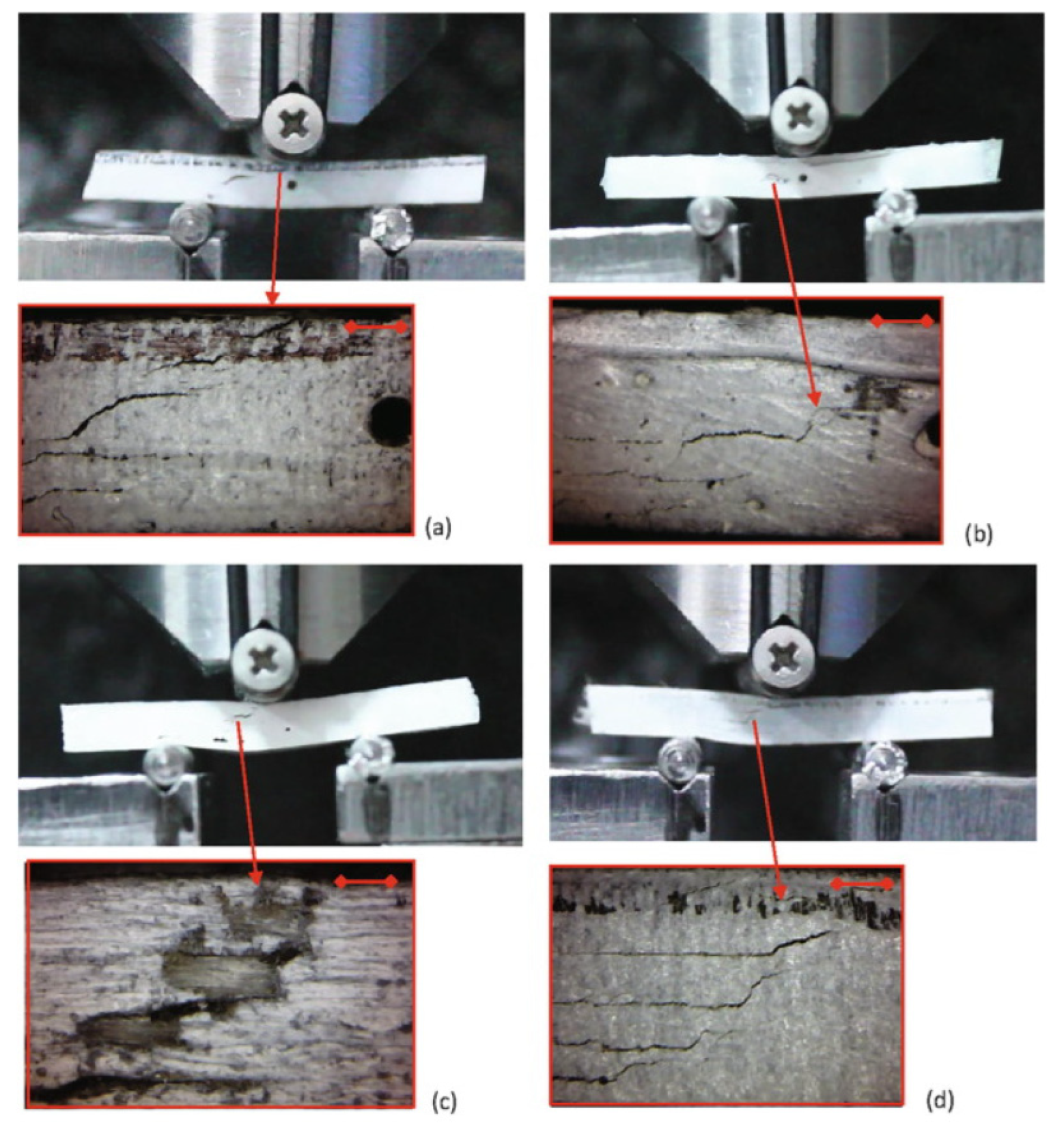 Polymers 17 02600 g009