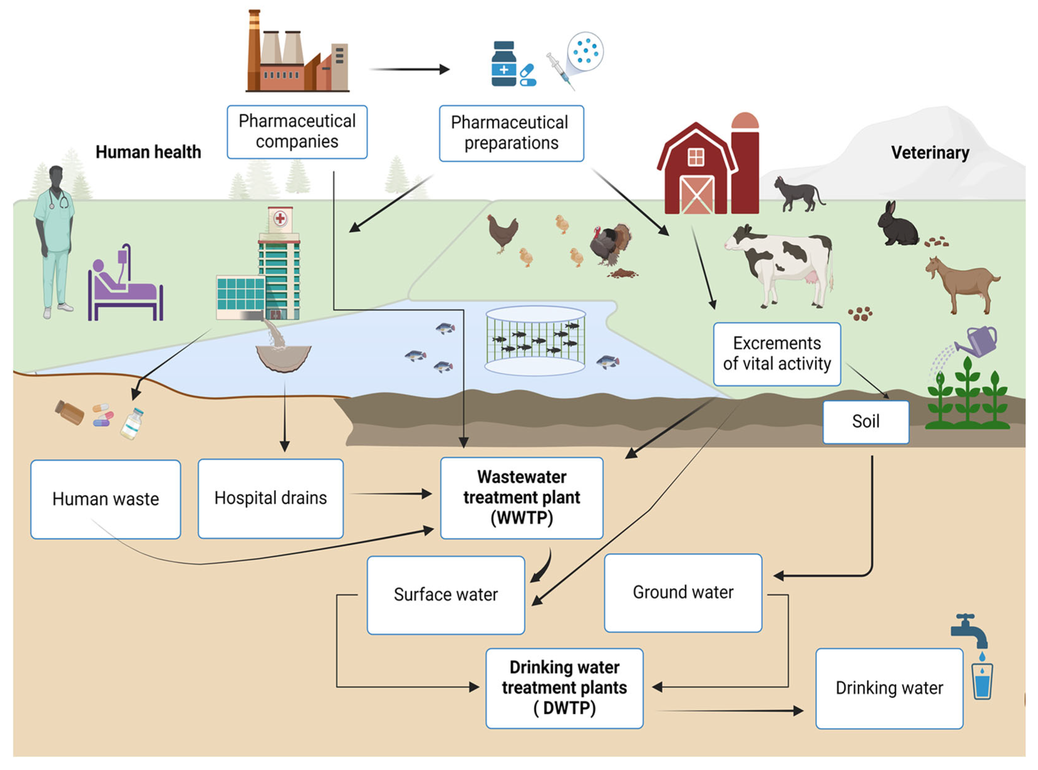 Polymers 17 02601 g001