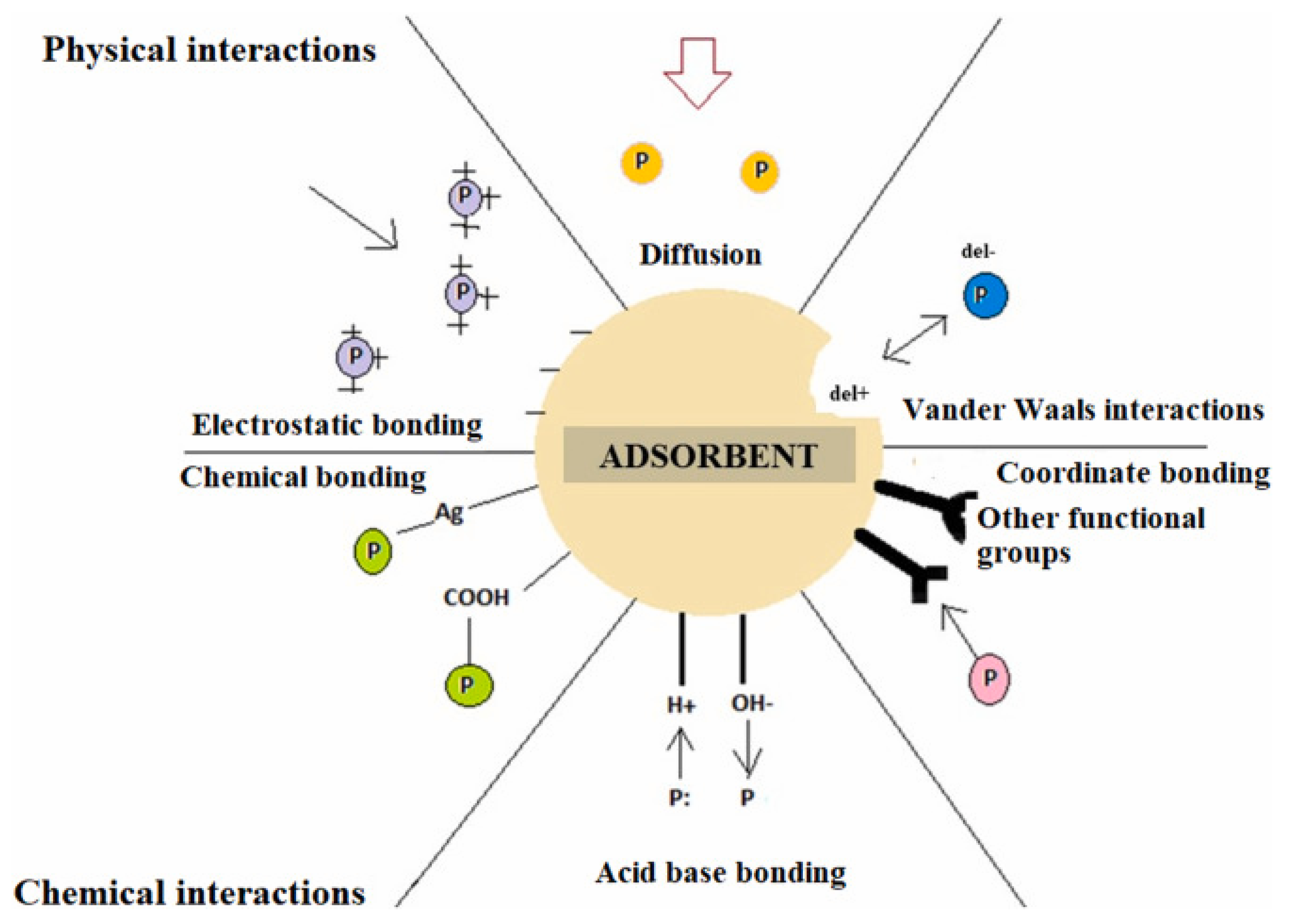 Polymers 17 02601 g002