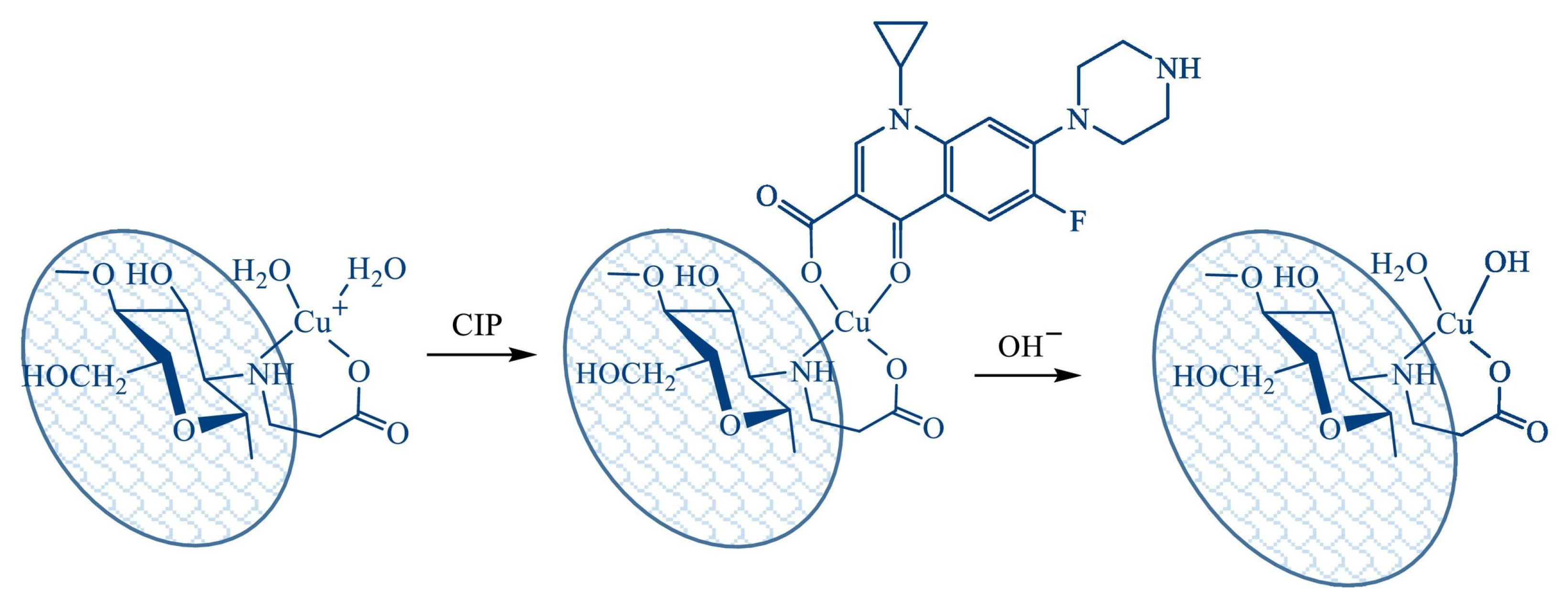 Polymers 17 02601 g005