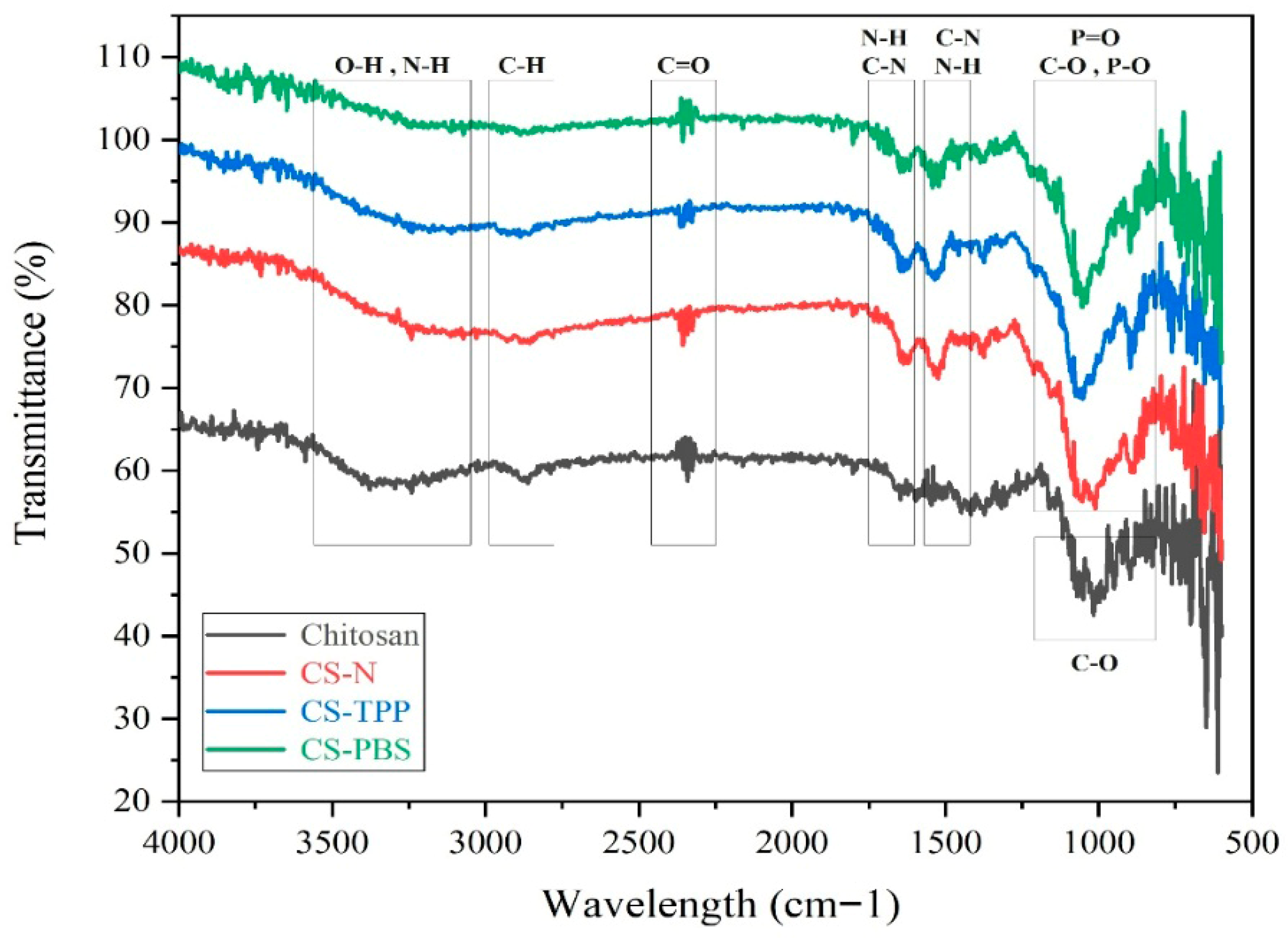 Polymers 17 02603 g002