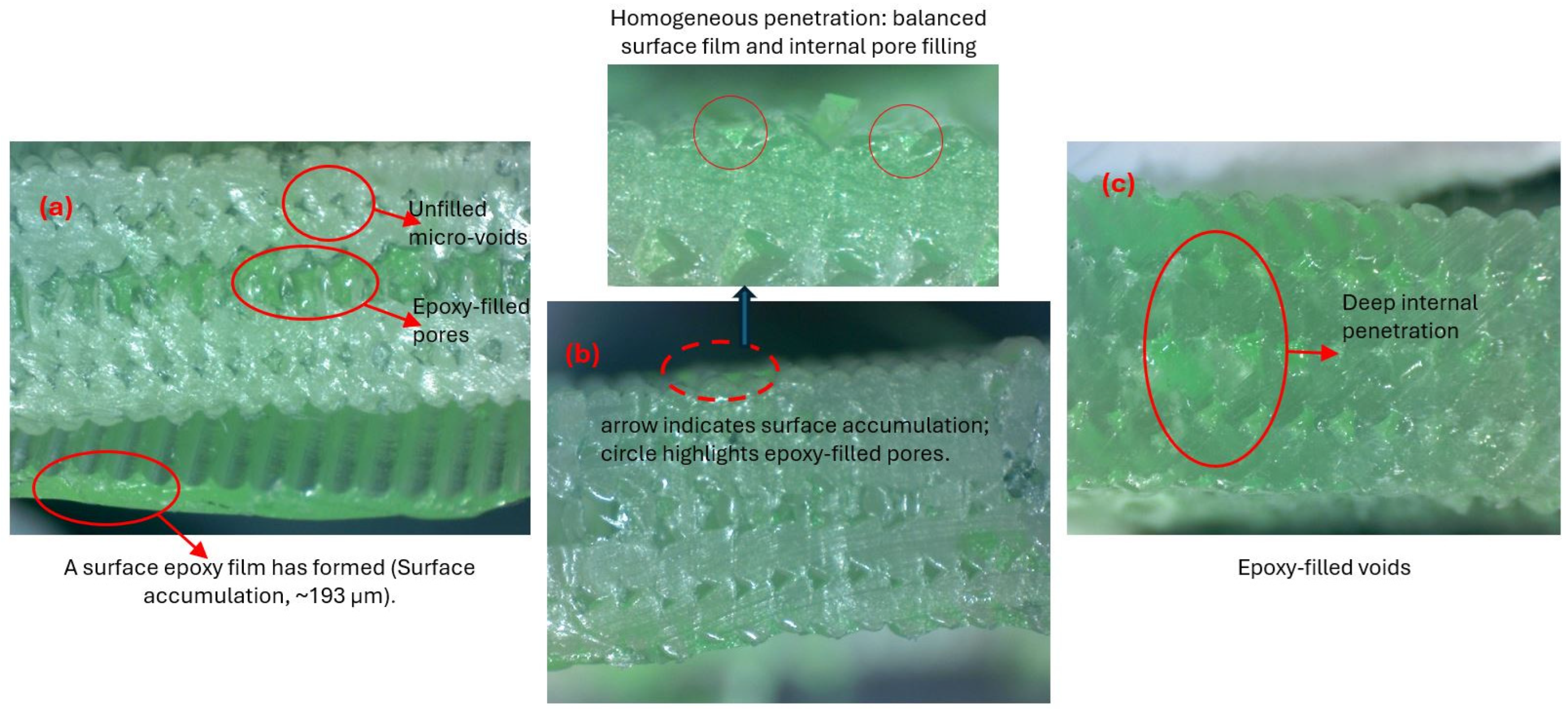 Polymers 17 02604 g004