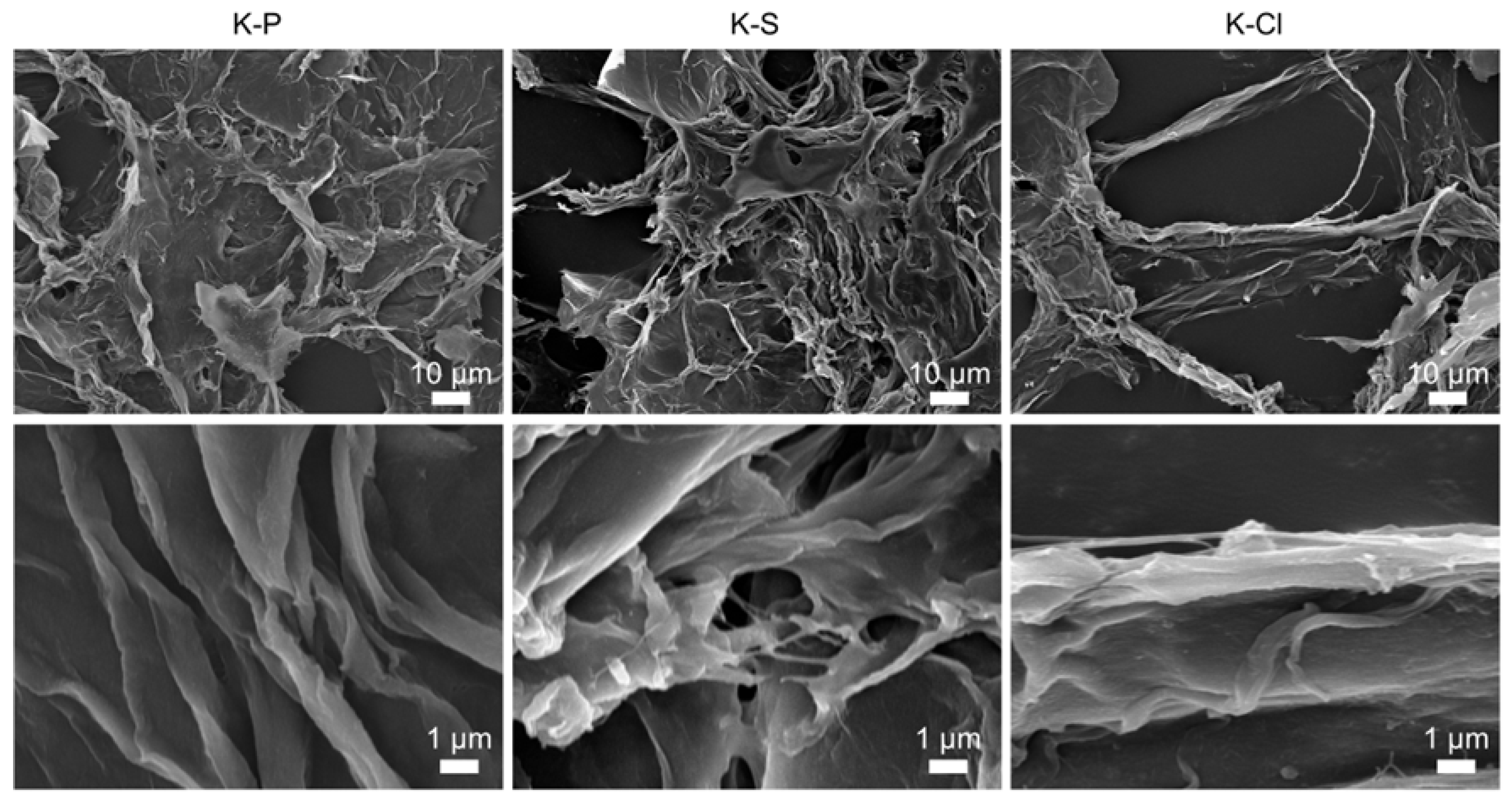 Polymers 17 02605 g001