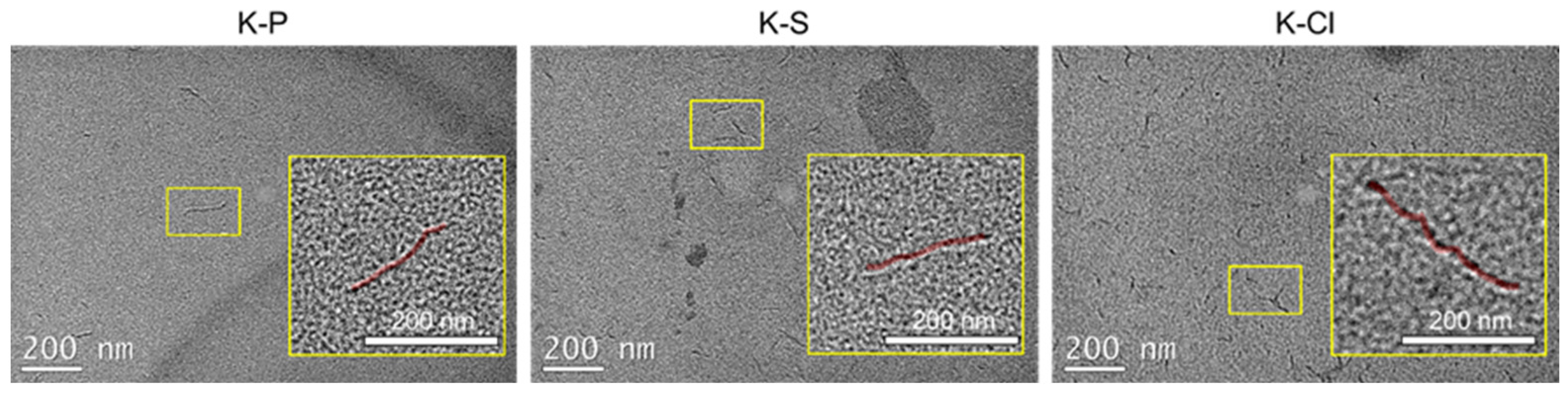 Polymers 17 02605 g002