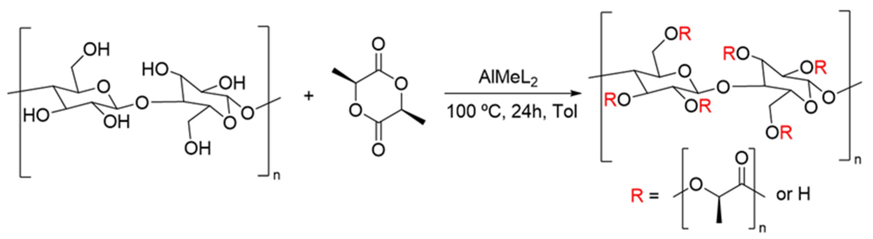 Polymers 17 02605 g005