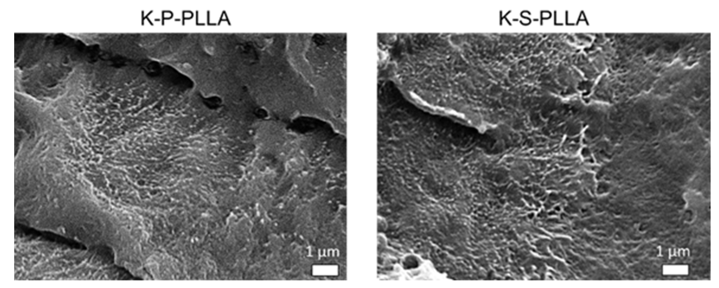 Polymers 17 02605 g007