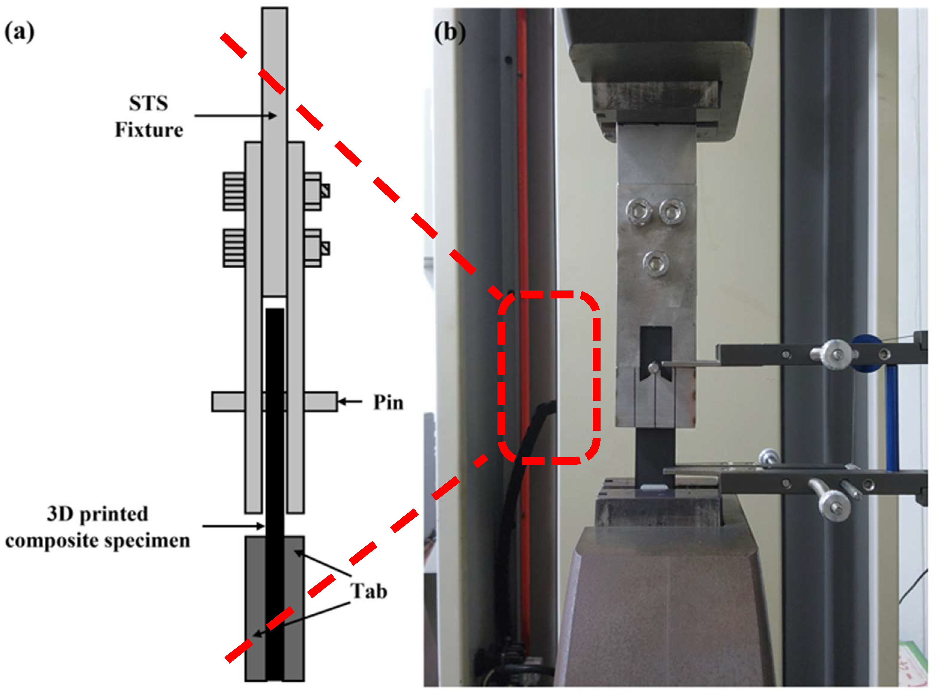 Polymers 17 02609 g006