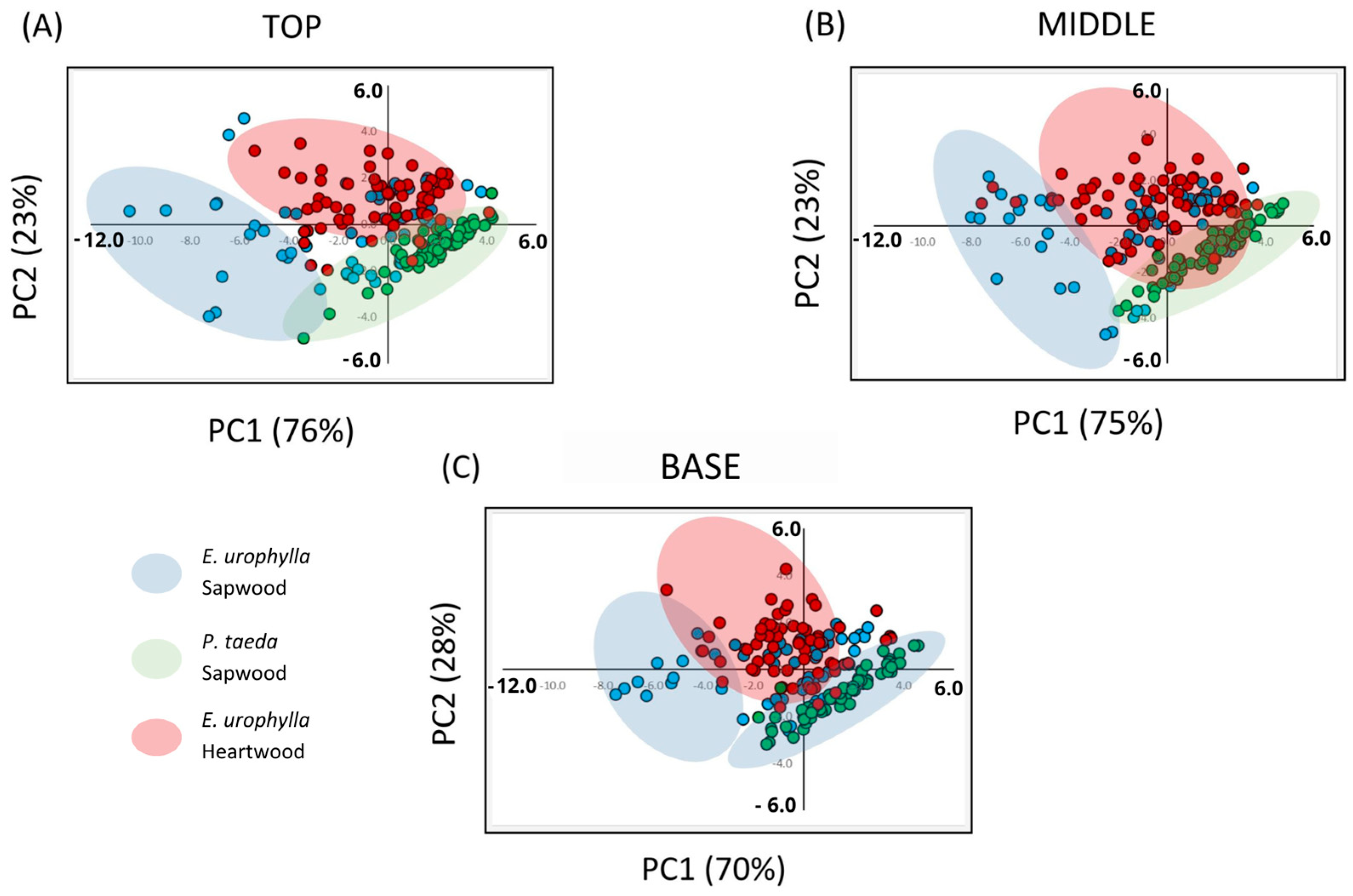 Polymers 17 02614 g002 Polymers 17 02614 g002
