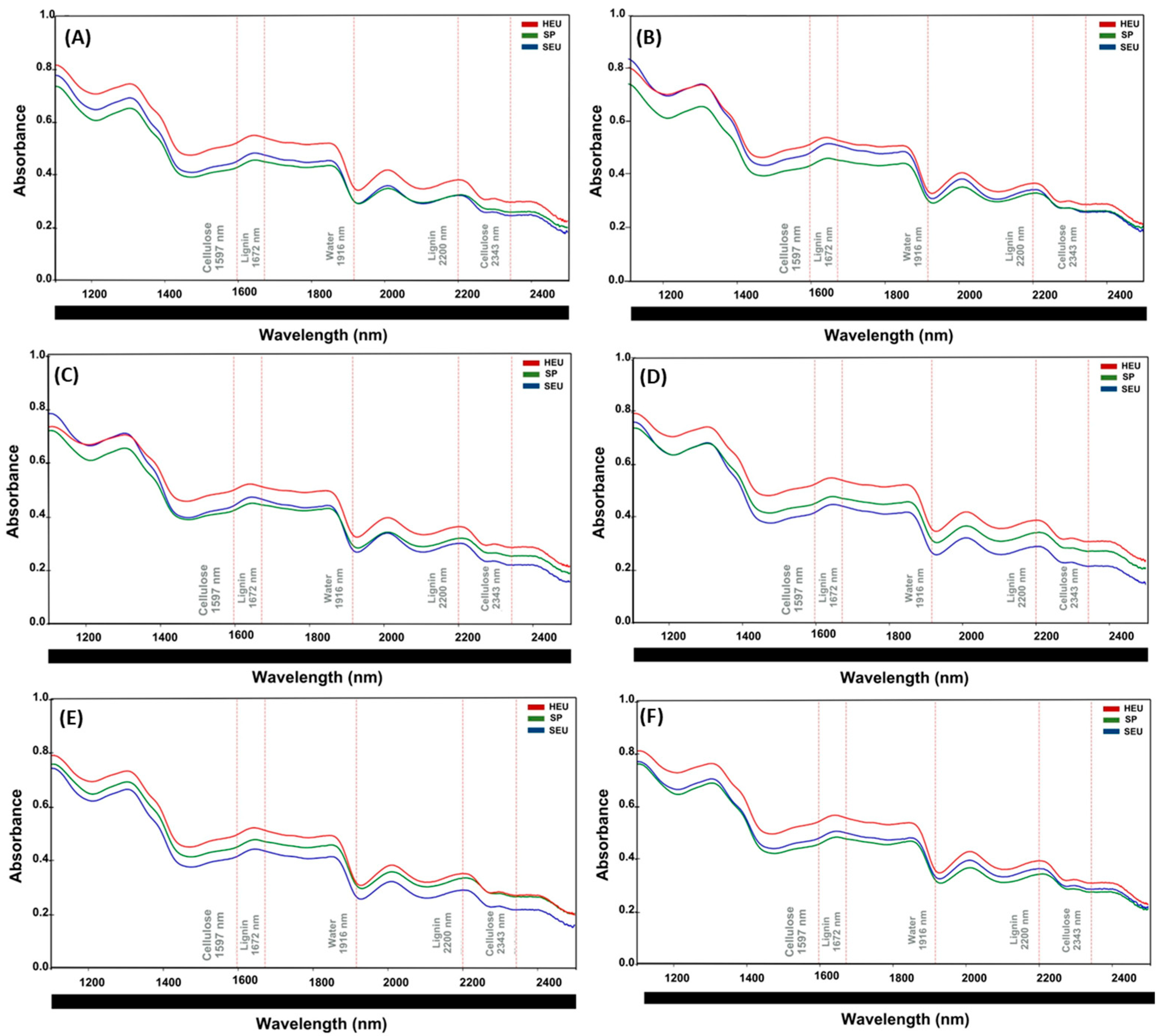 Polymers 17 02614 g004 Polymers 17 02614 g004