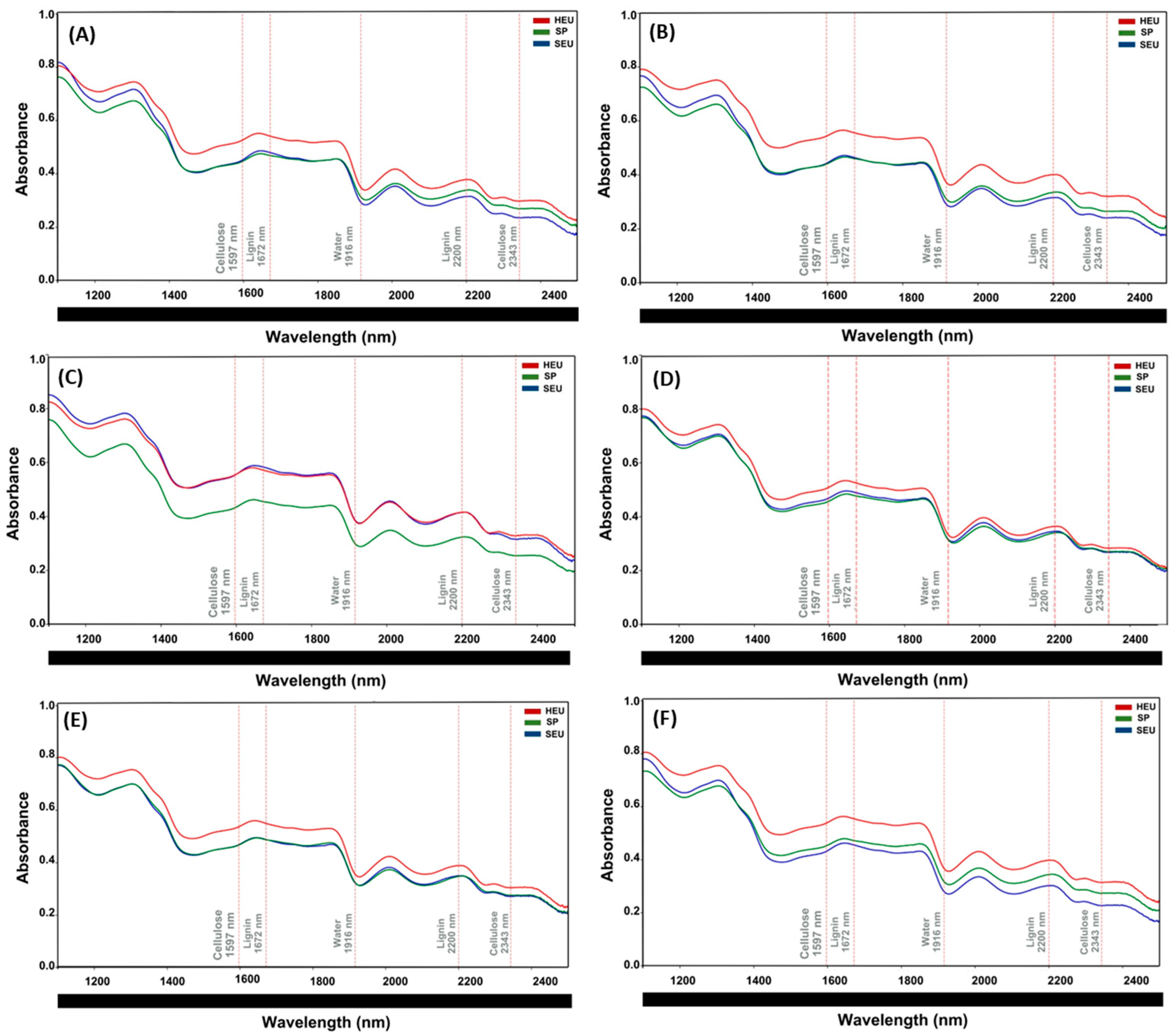 Polymers 17 02614 g005 Polymers 17 02614 g005