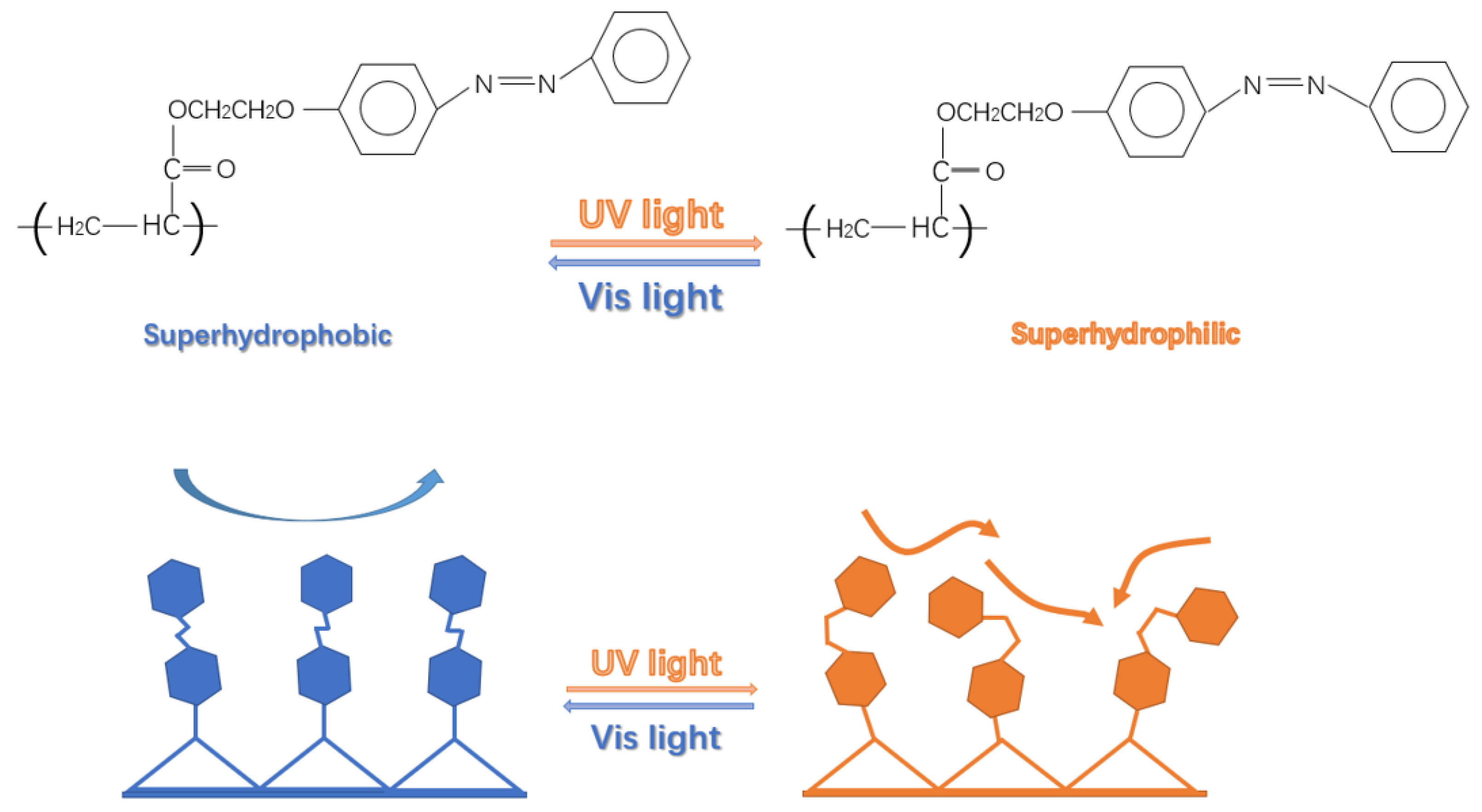 Polymers 17 02615 g006 Polymers 17 02615 g006