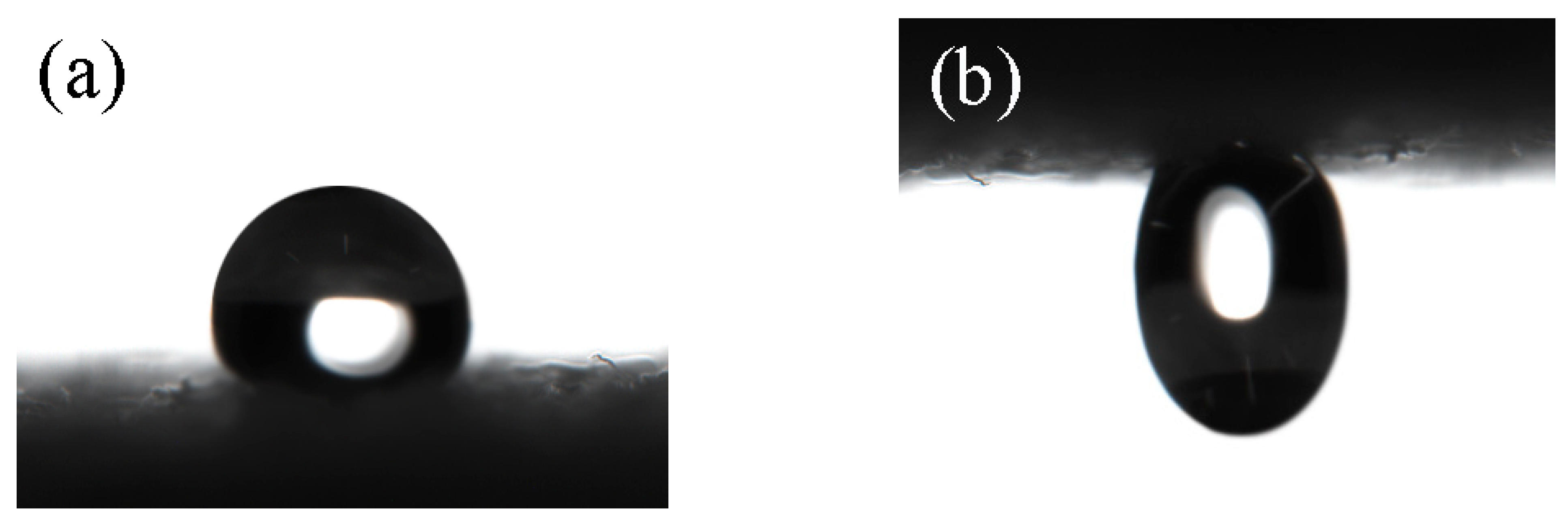 Polymers 17 02615 g008 Polymers 17 02615 g008