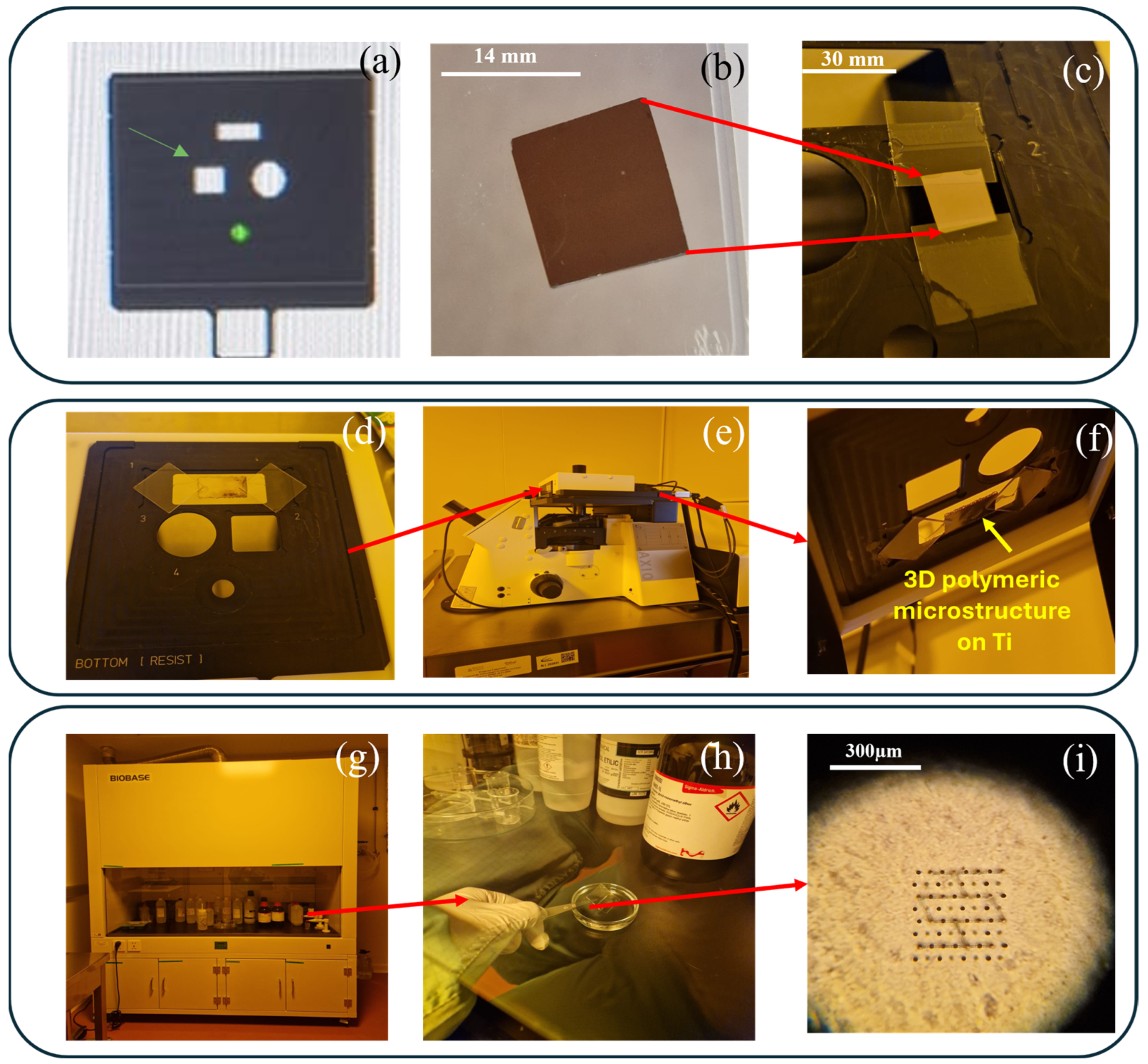 Polymers 17 02620 g002 Polymers 17 02620 g002