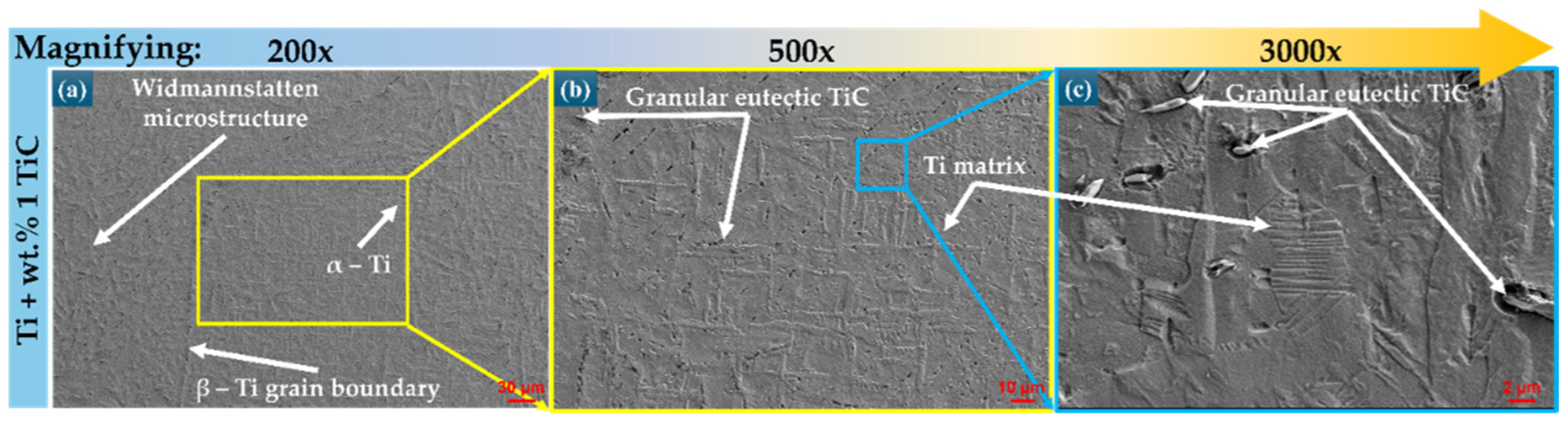 Polymers 17 02620 g003 Polymers 17 02620 g003
