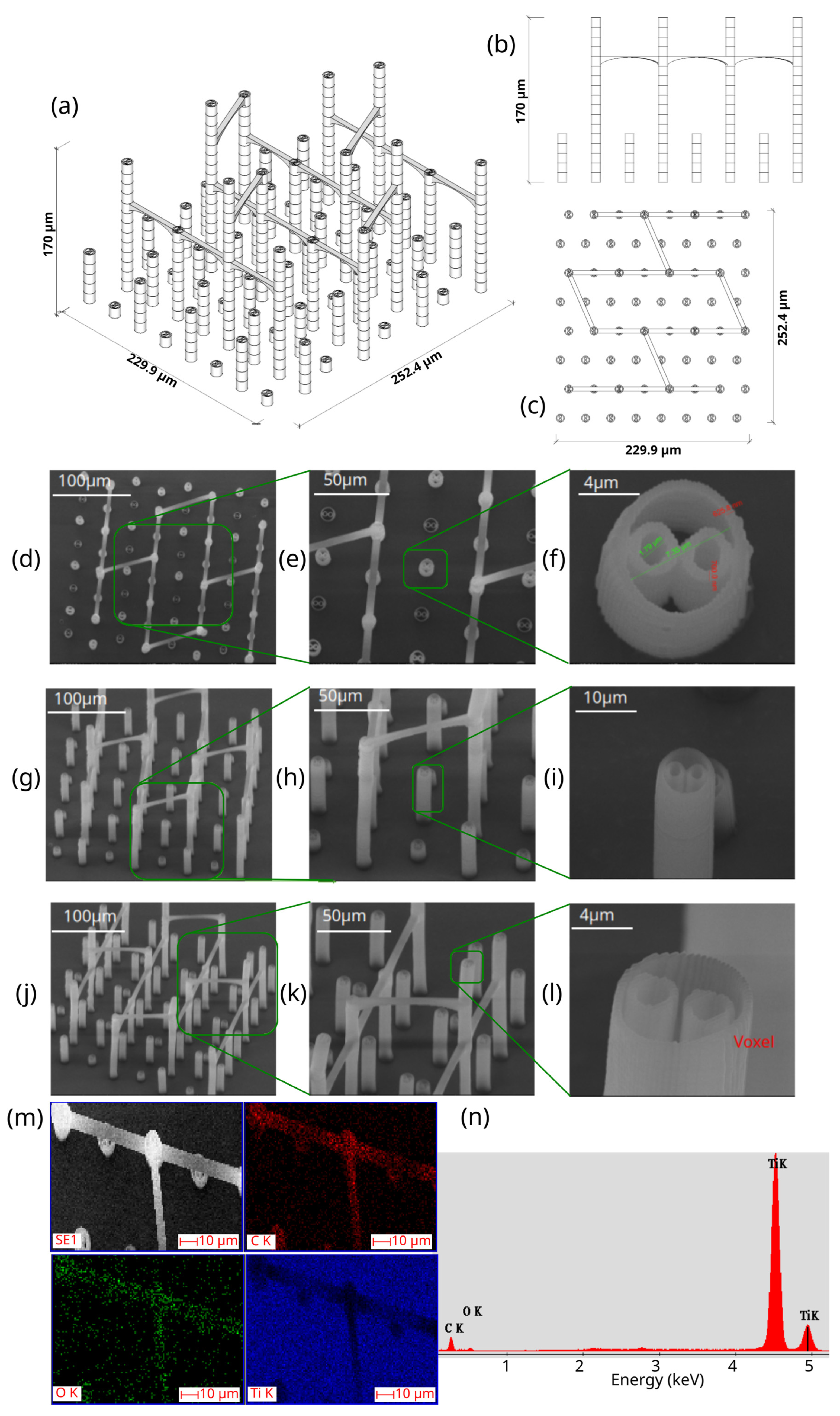 Polymers 17 02620 g004 Polymers 17 02620 g004