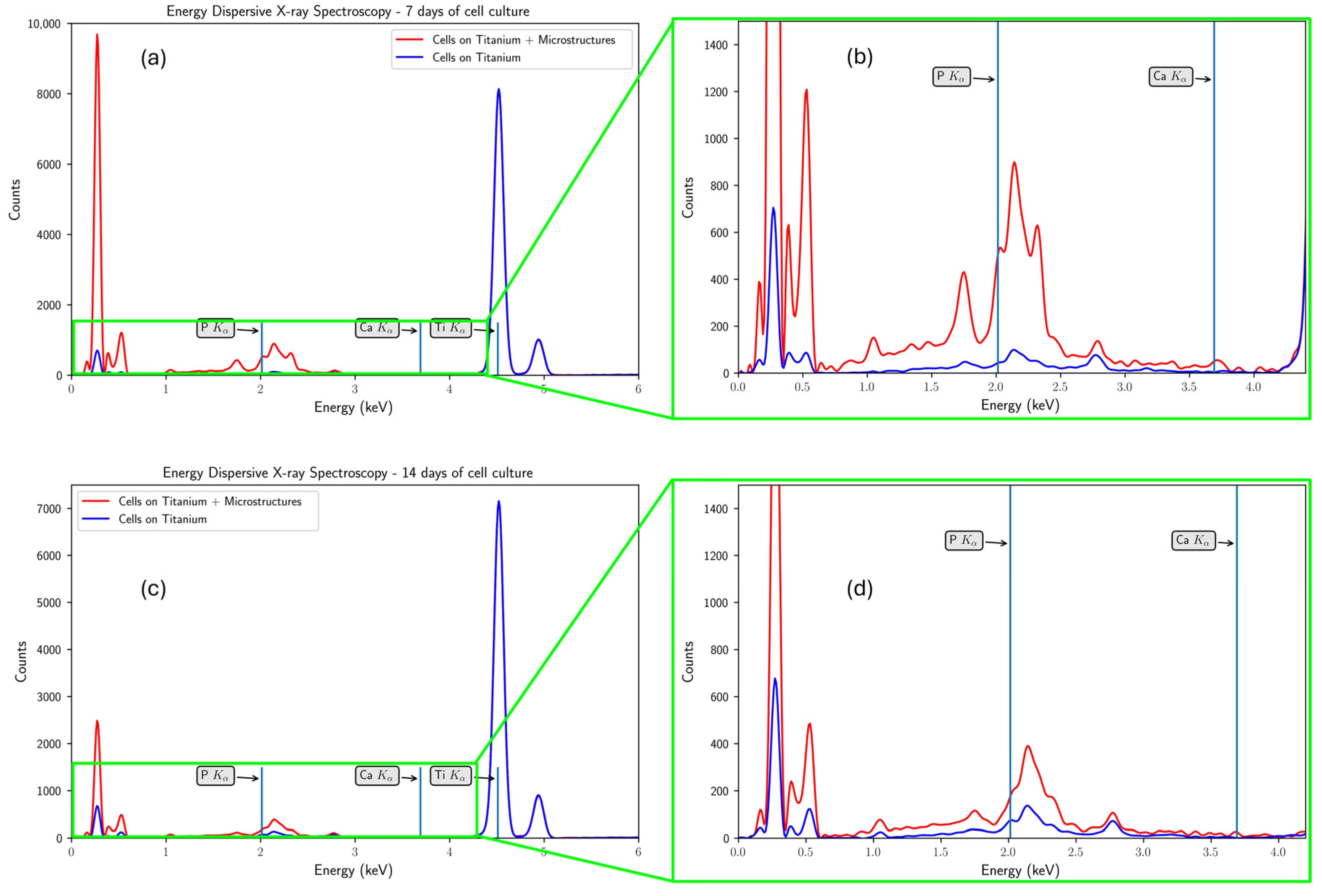 Polymers 17 02620 g007 Polymers 17 02620 g007