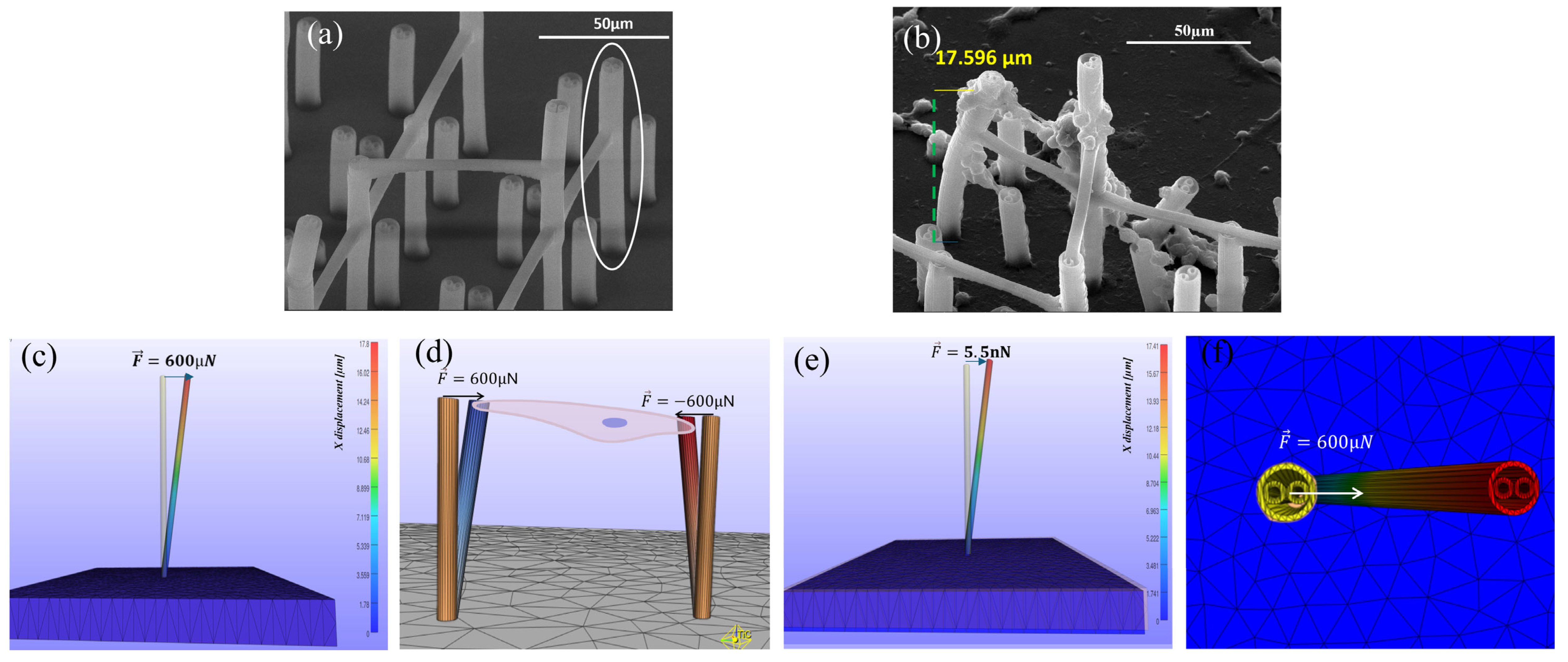 Polymers 17 02620 g008 Polymers 17 02620 g008