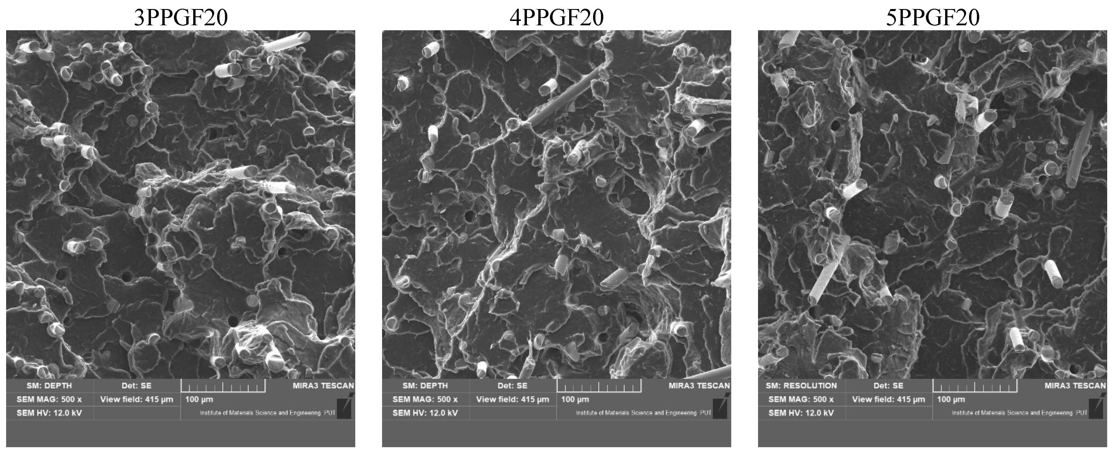 Polymers 17 02625 g013b Polymers 17 02625 g013b