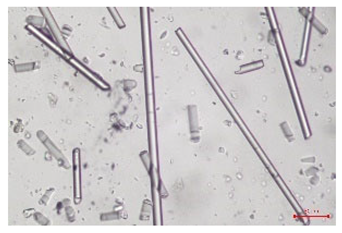 Polymers 17 02625 i001 Polymers 17 02625 i001