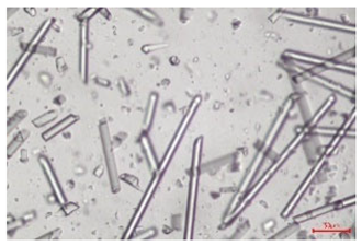 Polymers 17 02625 i007 Polymers 17 02625 i007